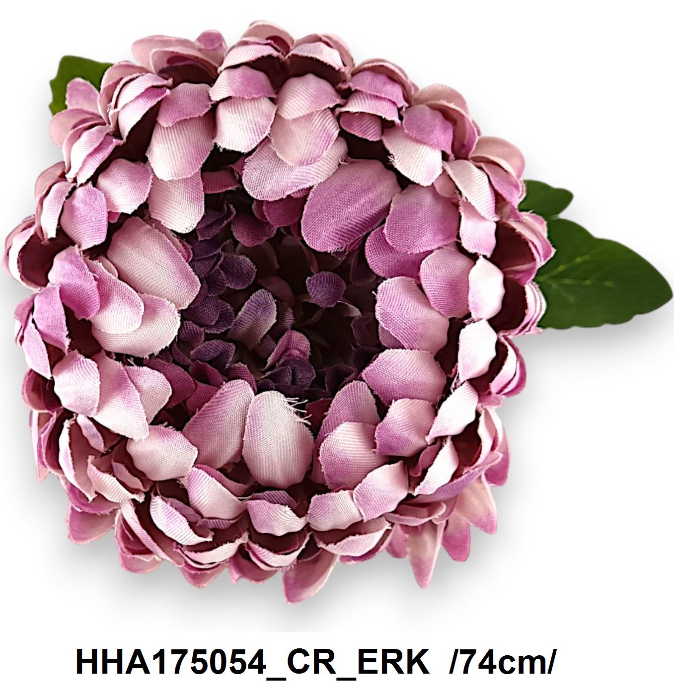 HHA175054_CR_ERK