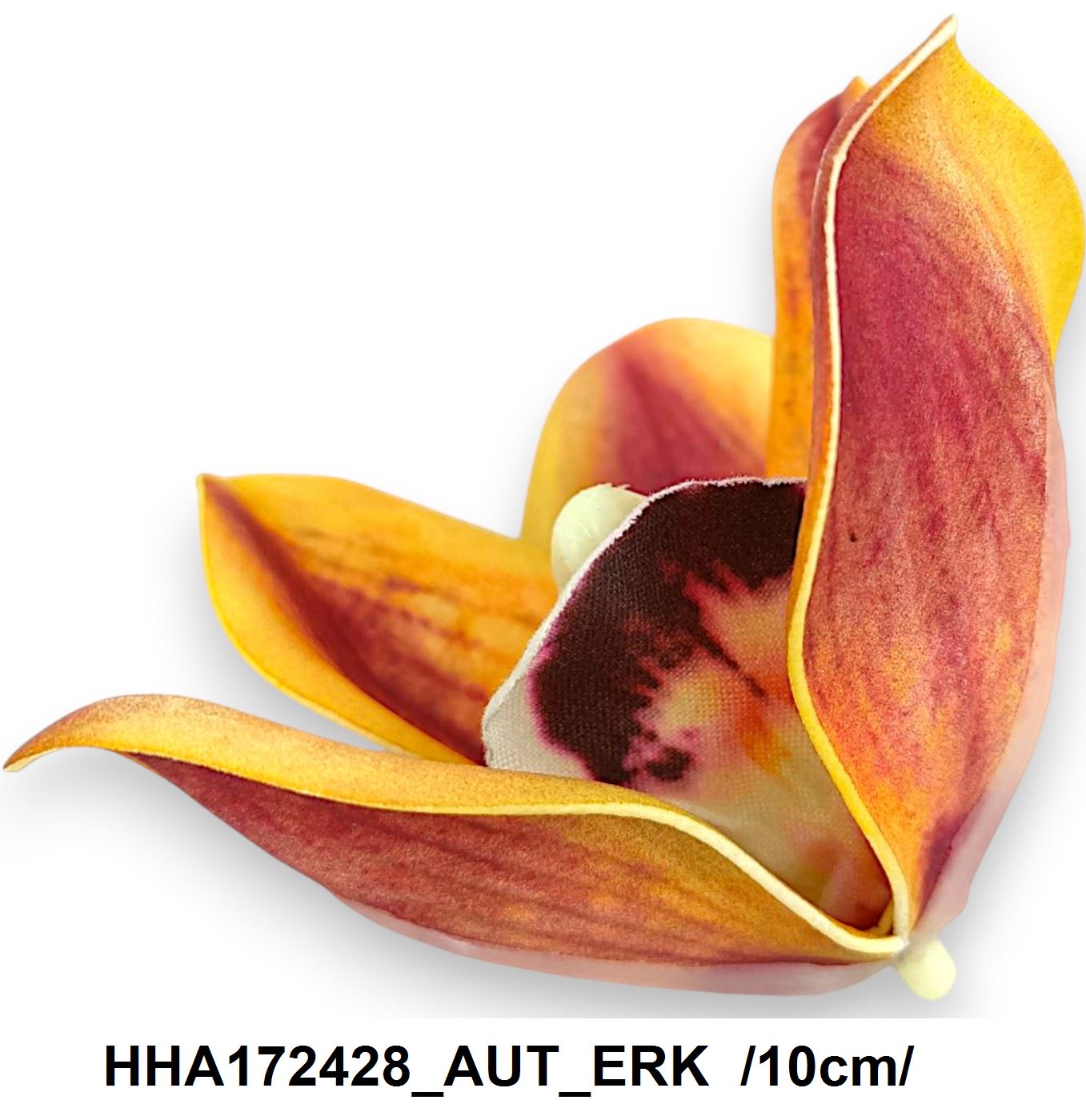 HHA172428_AUT_ERK