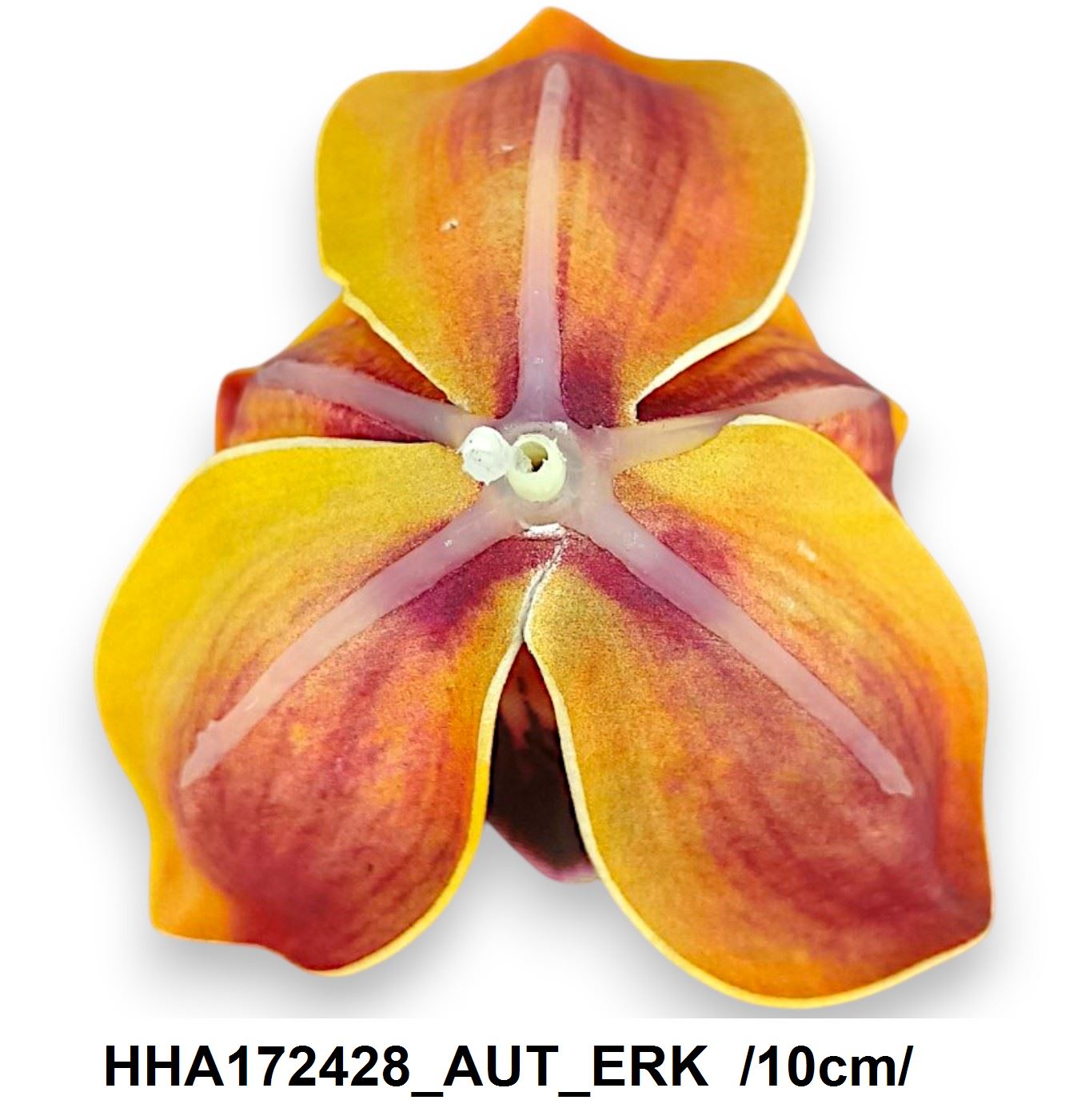 HHA172428_AUT_ERK