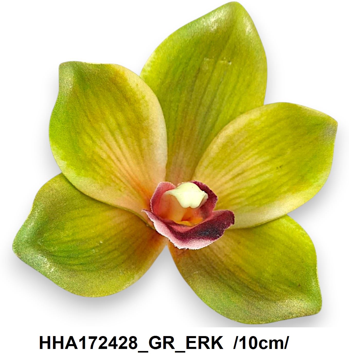 HHA172428_GR_ERK