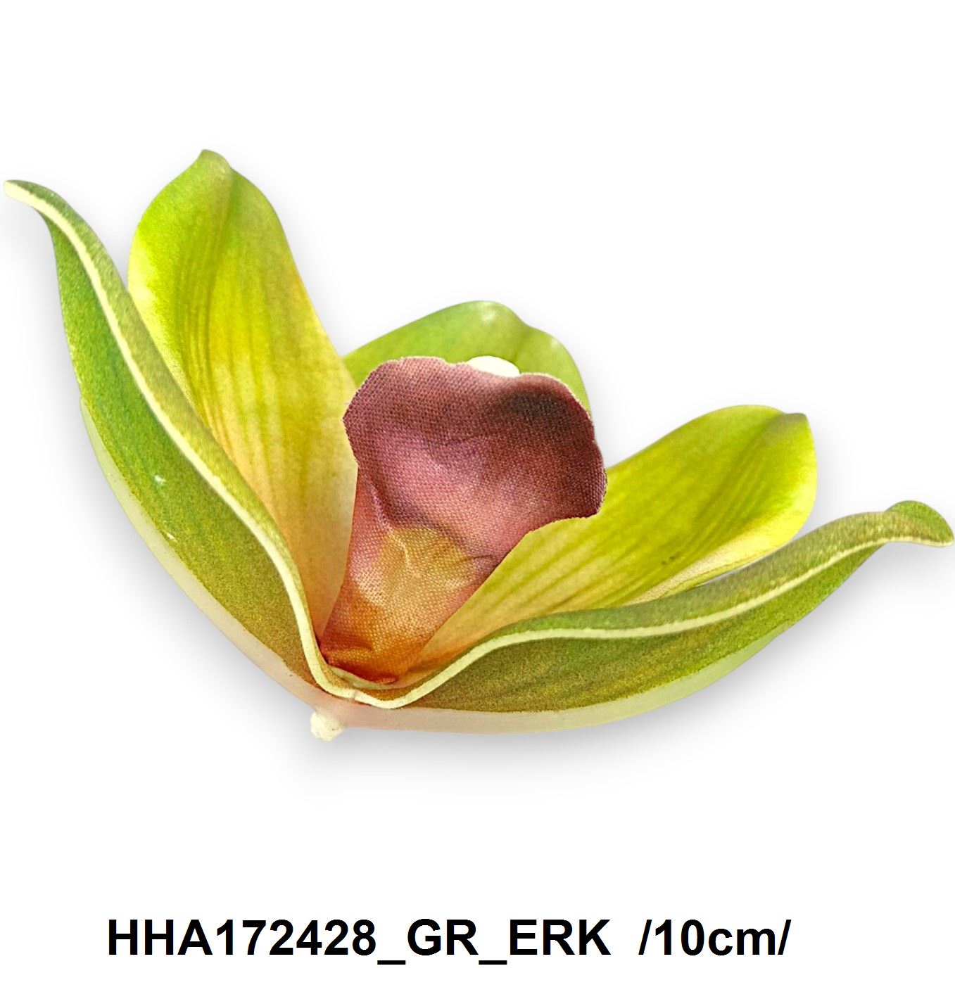 HHA172428_GR_ERK