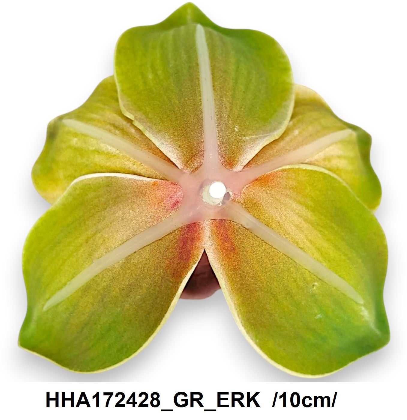 HHA172428_GR_ERK