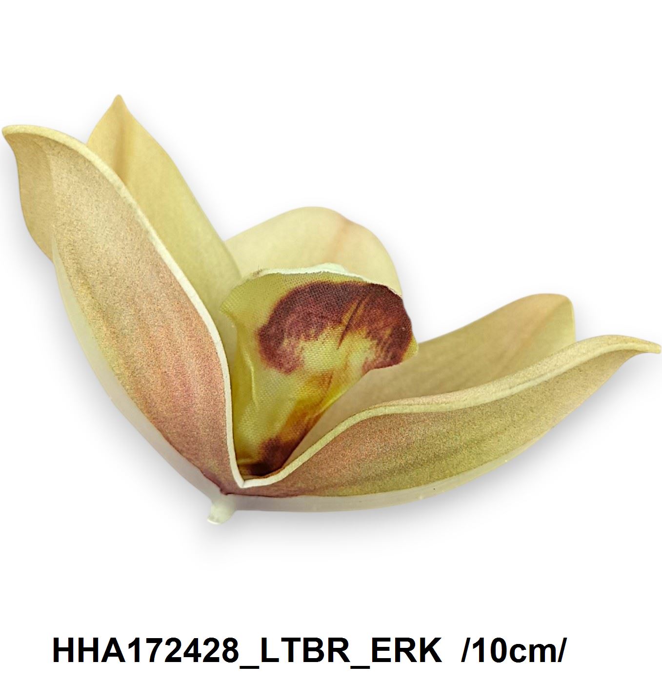 HHA172428_LTBR_ERK