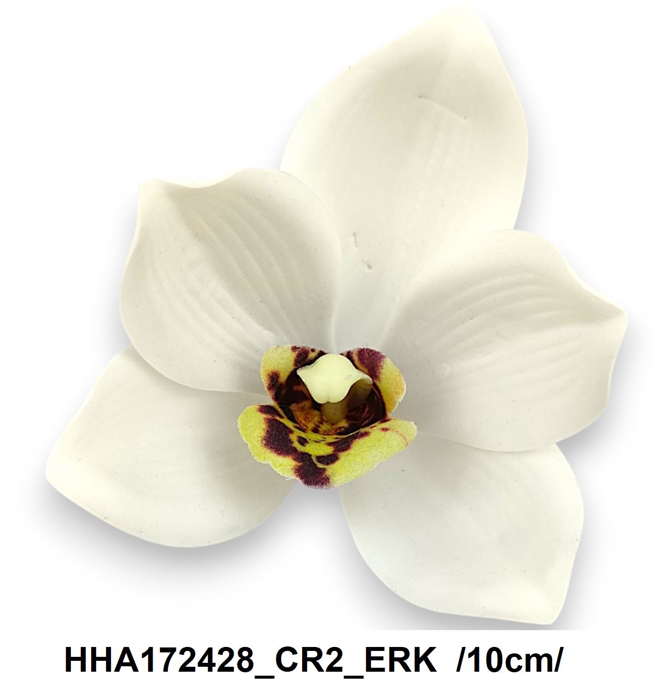 HHA172428_CR2_ERK
