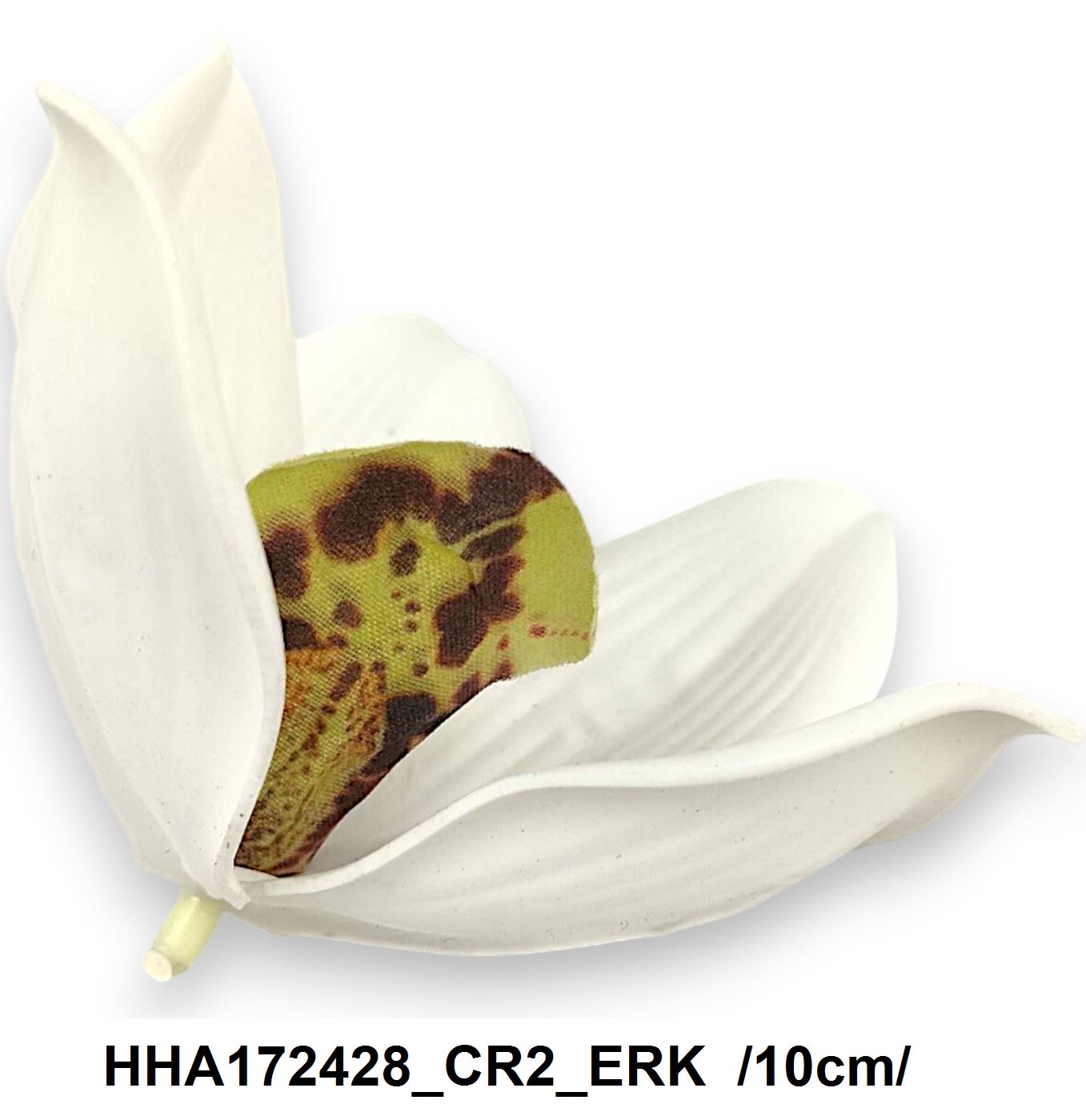 HHA172428_CR2_ERK