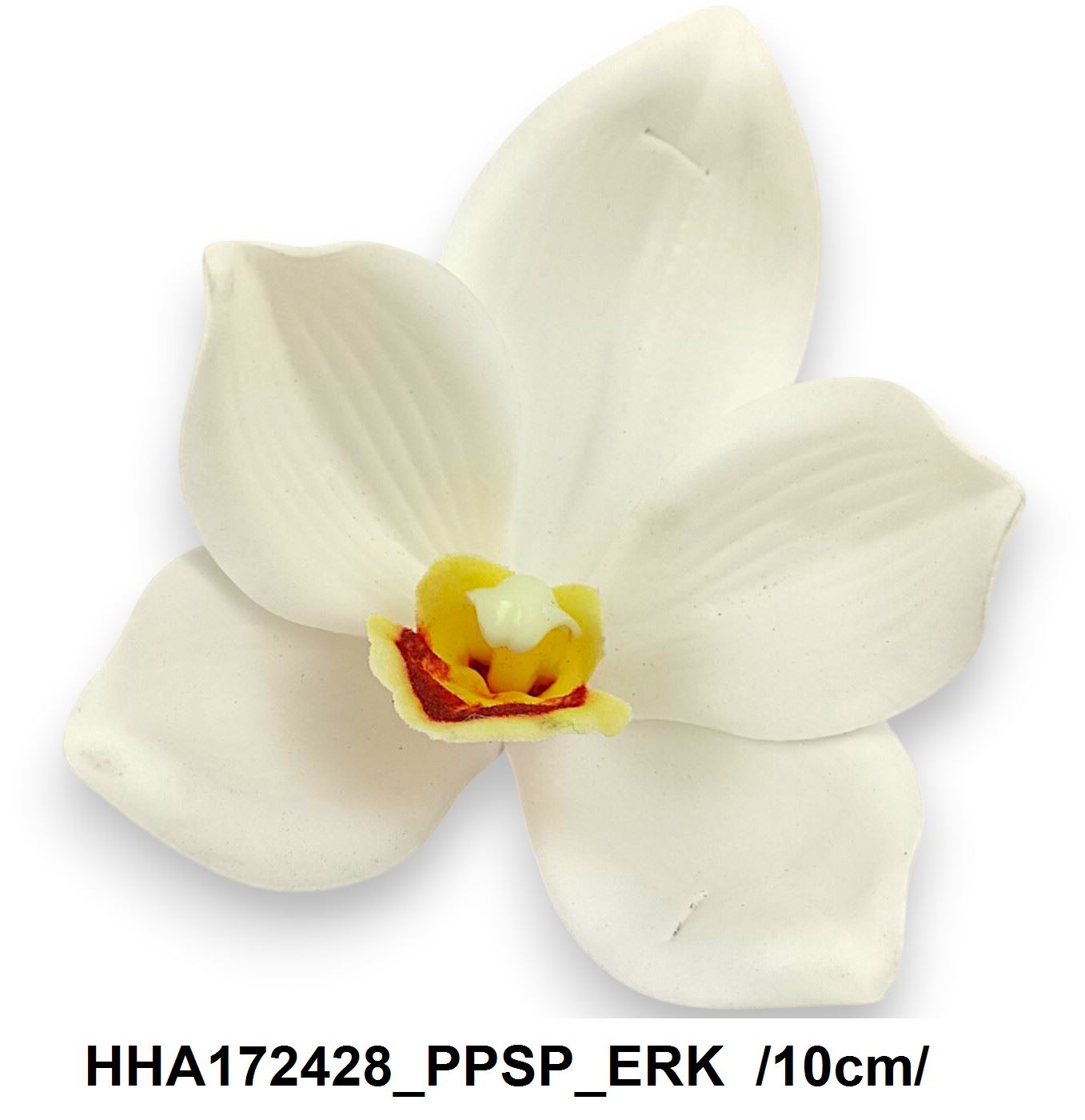 HHA172428_PPSP_ERK
