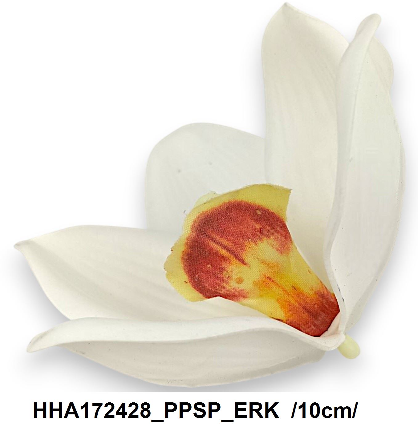 HHA172428_PPSP_ERK