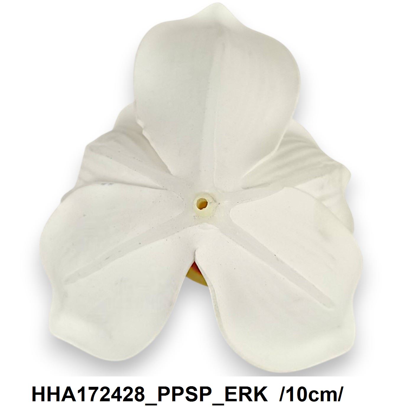 HHA172428_PPSP_ERK