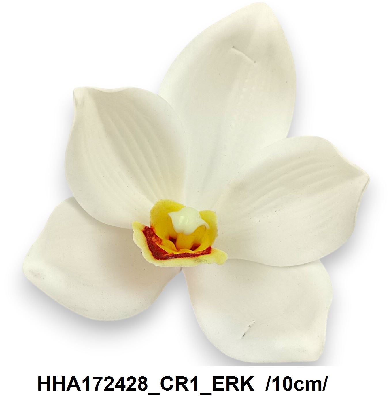 HHA172428_CR1_ERK