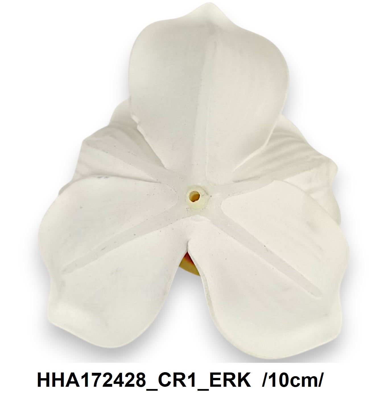 HHA172428_CR1_ERK