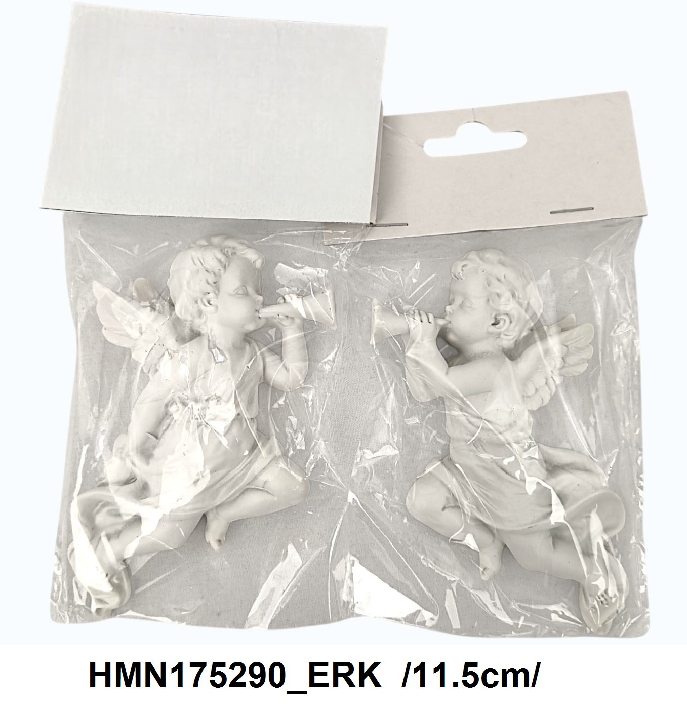 HMN175290_ERK