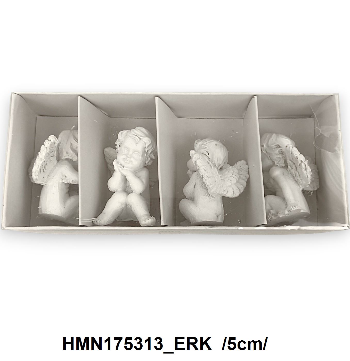 HMN175313_ERK