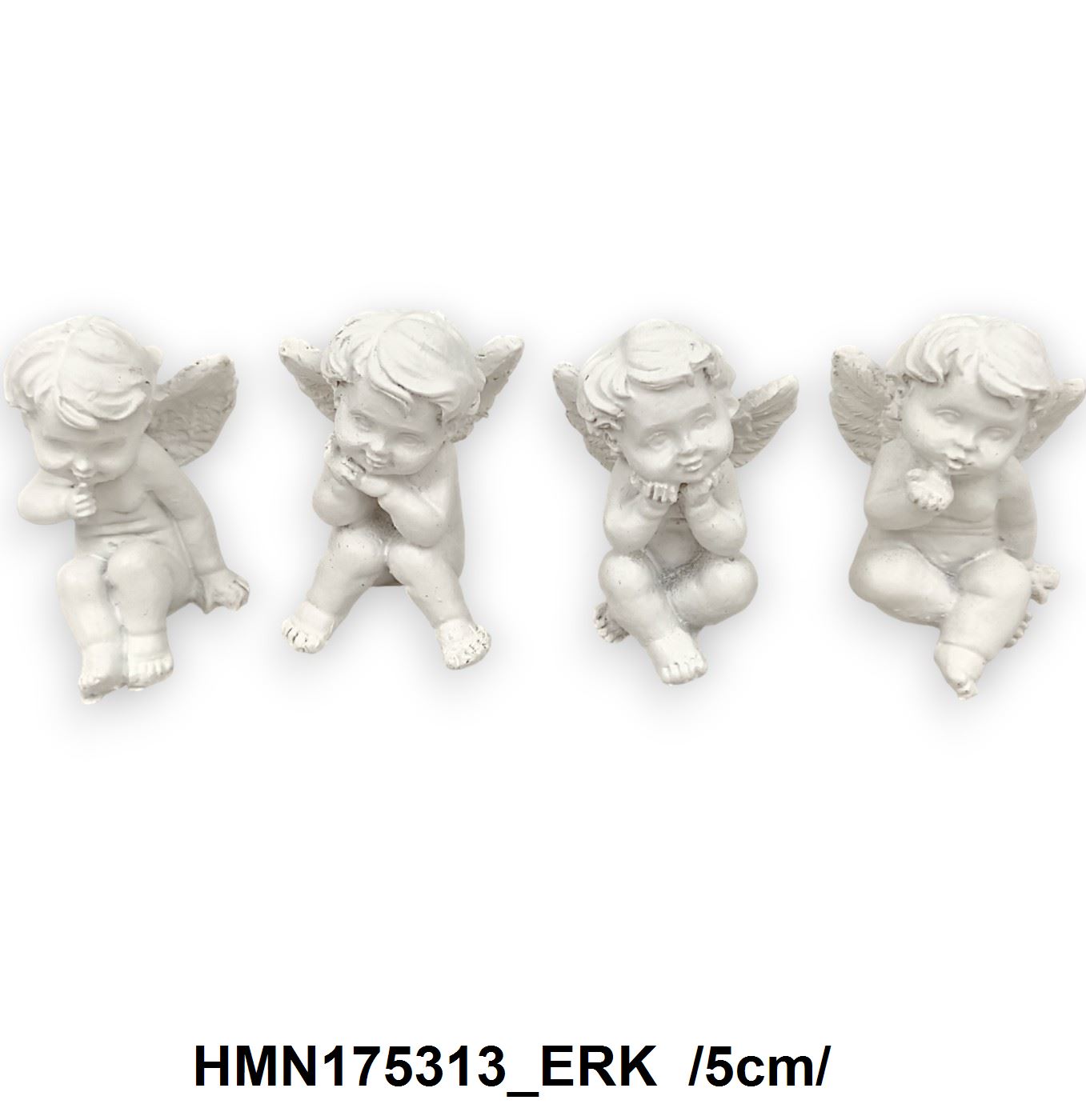 HMN175313_ERK