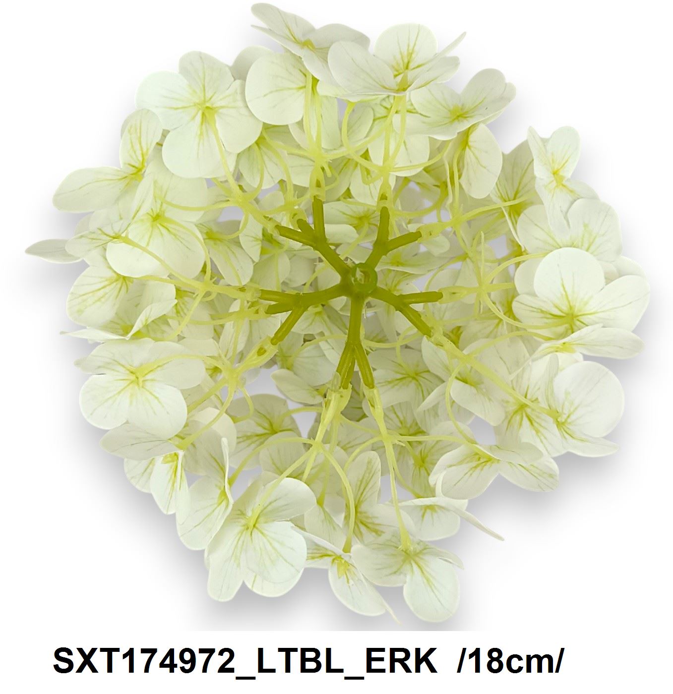 SXT174972_LTBL_ERK