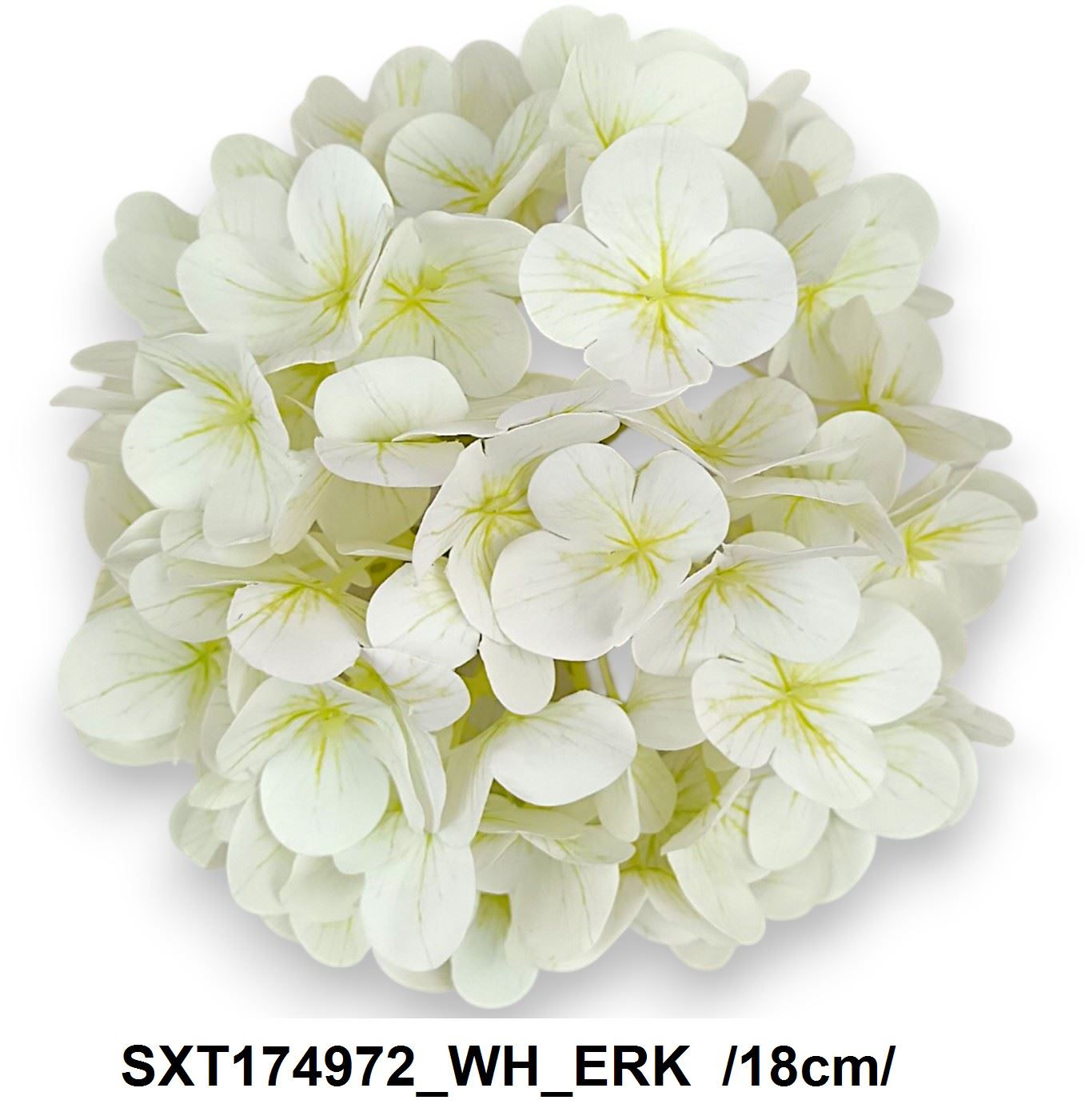 SXT174972_WH_ERK
