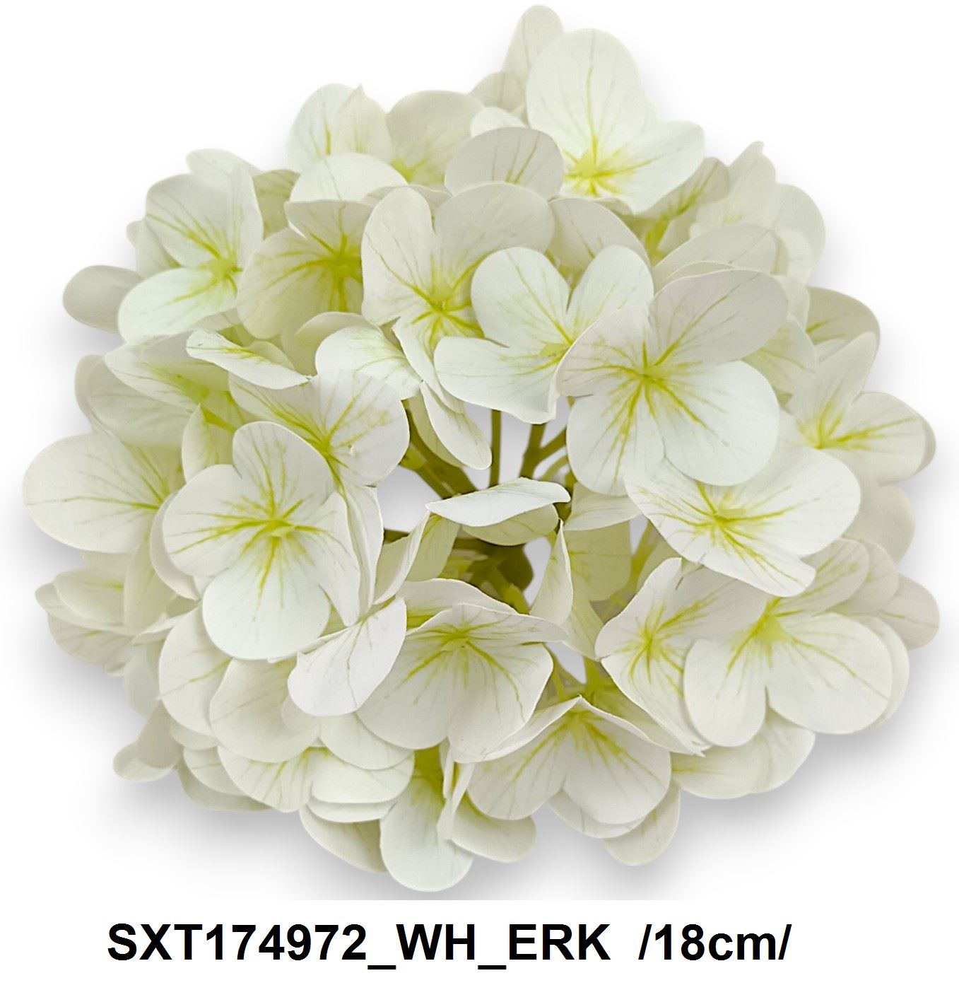 SXT174972_WH_ERK
