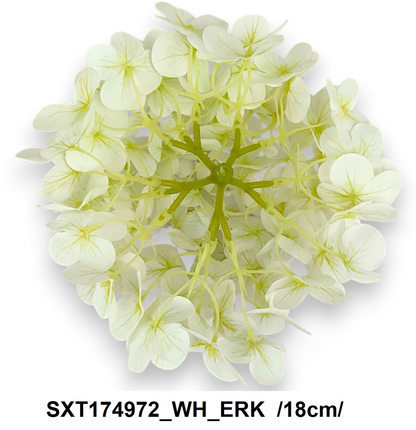 SXT174972_WH_ERK