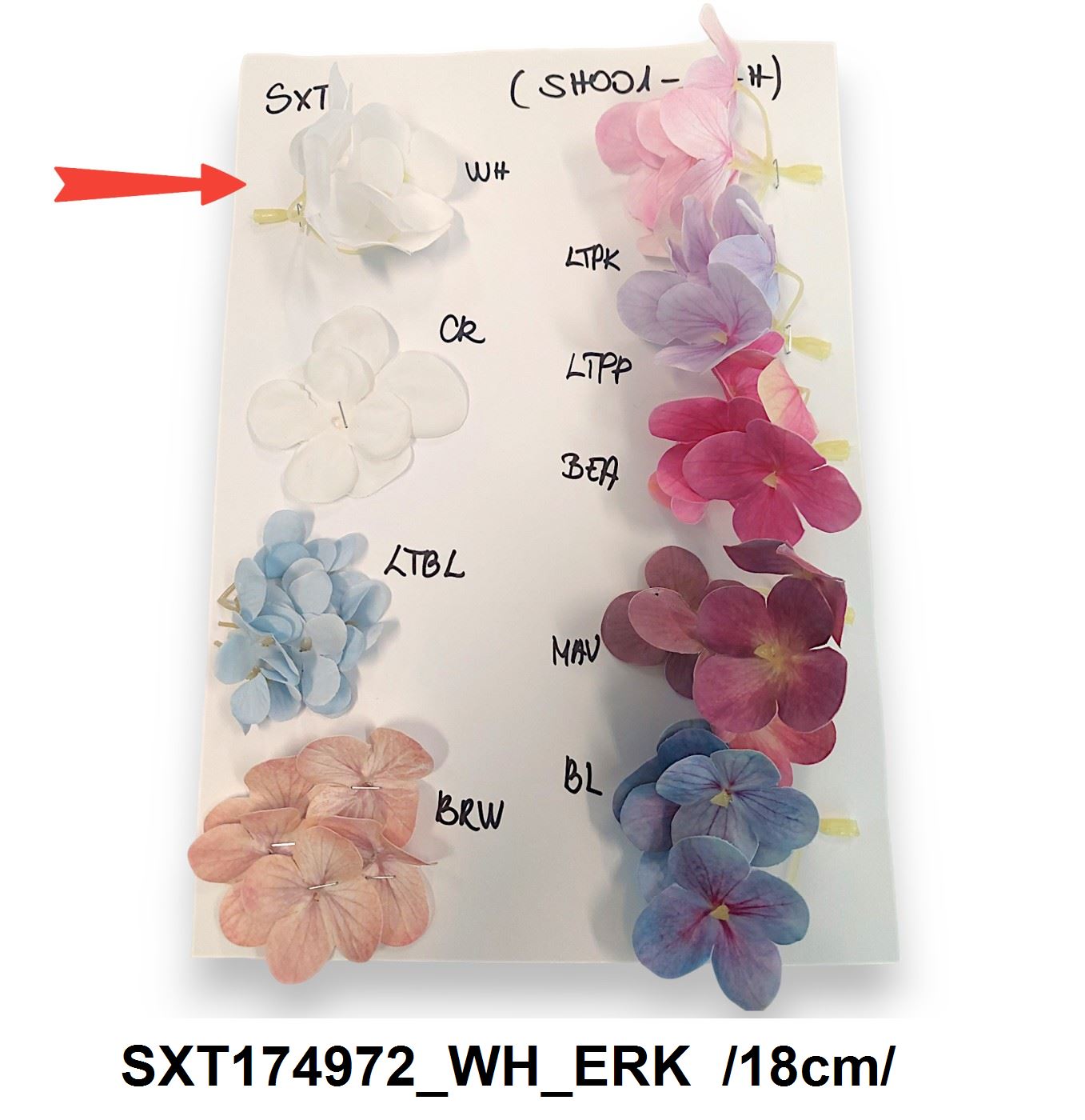 SXT174972_WH_ERK