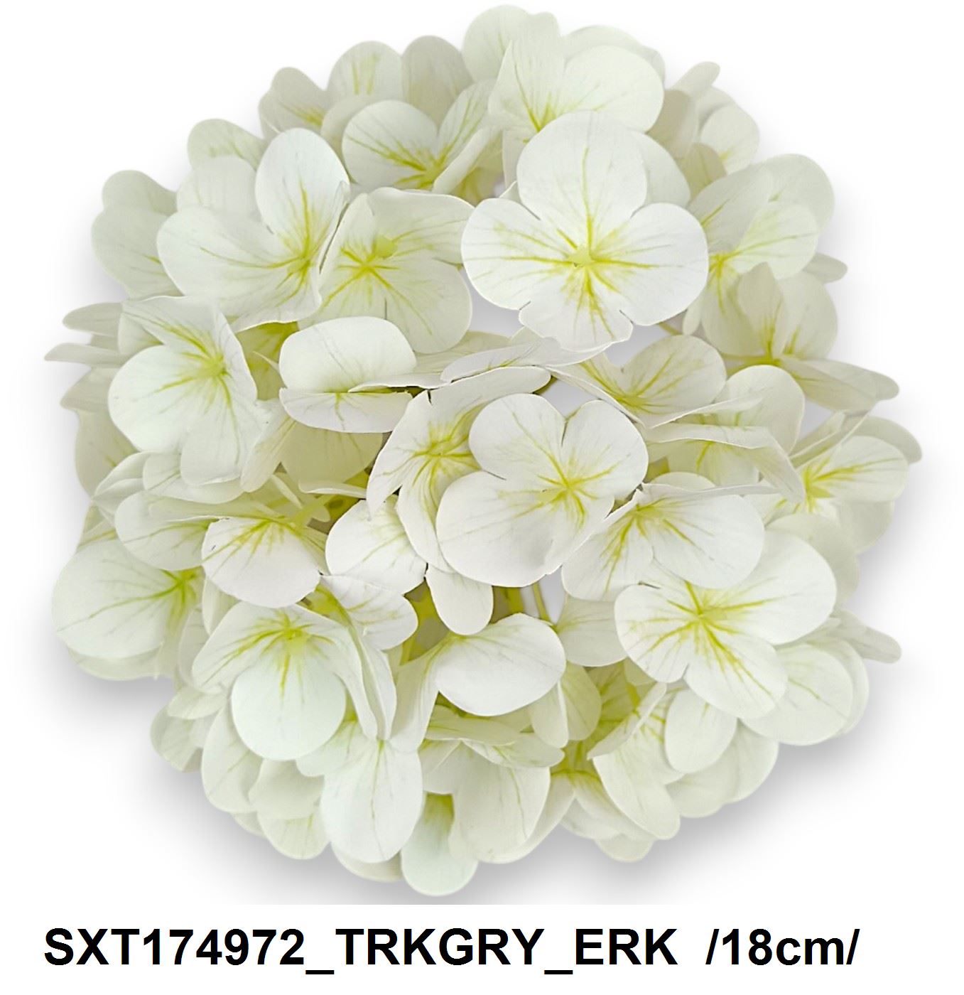 SXT174972_TRKGRY_ERK