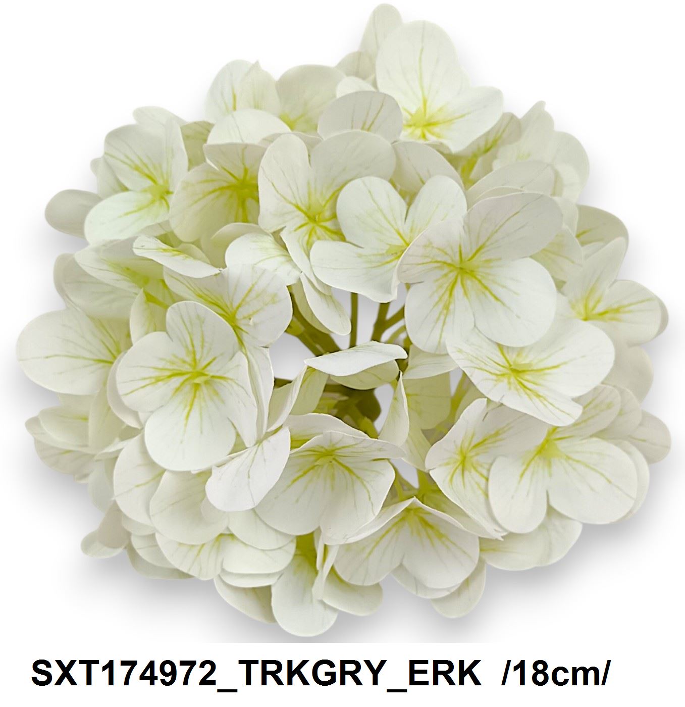 SXT174972_TRKGRY_ERK