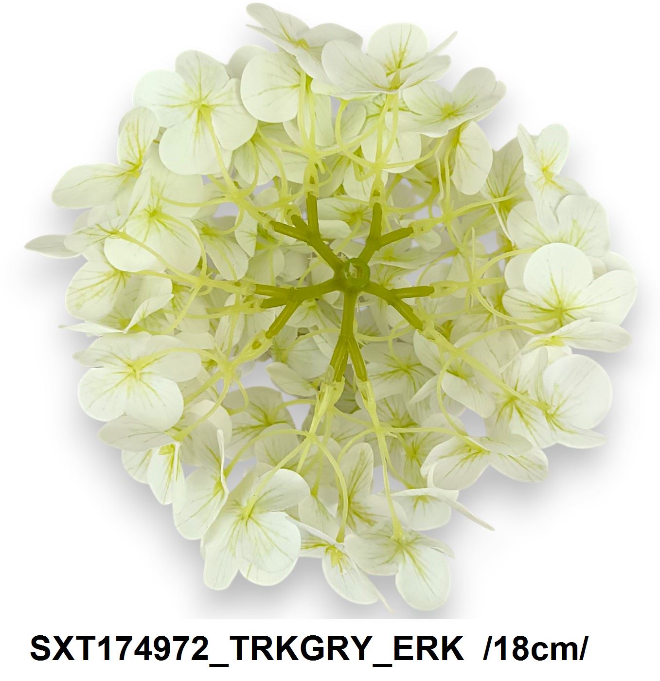 SXT174972_TRKGRY_ERK