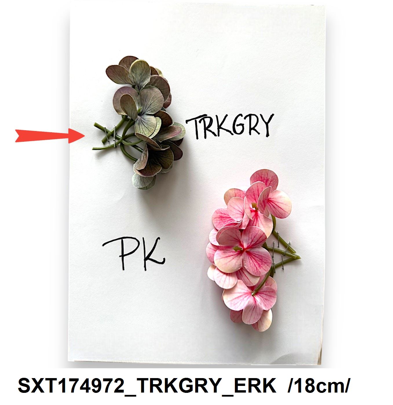 SXT174972_TRKGRY_ERK