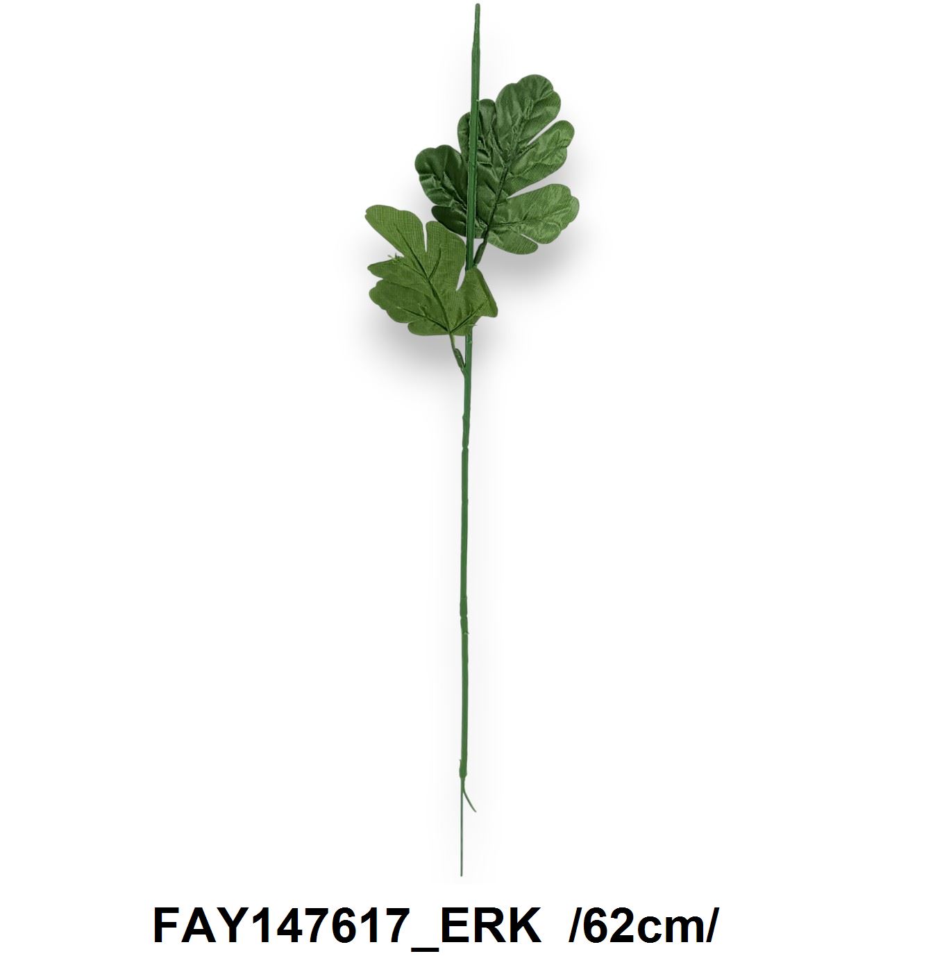 FAY147617_ERK