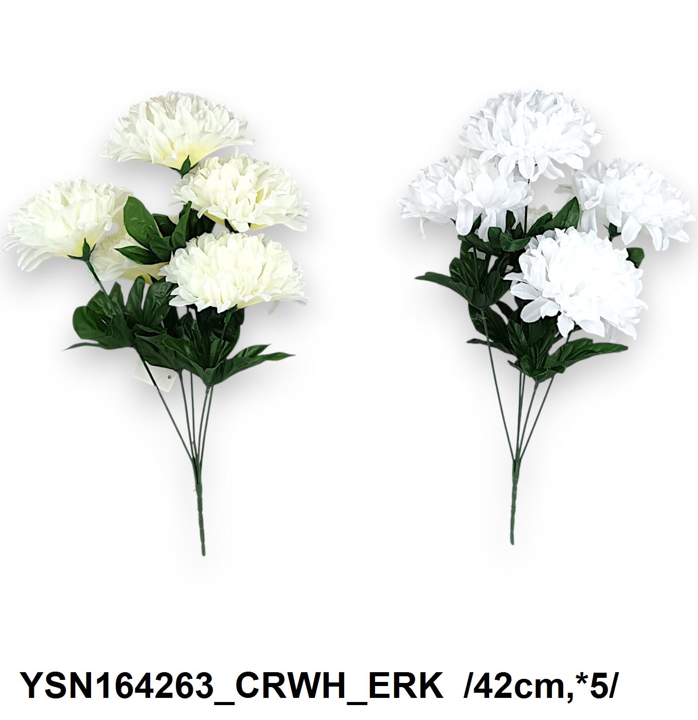 YSN164263_CRWH_ERK