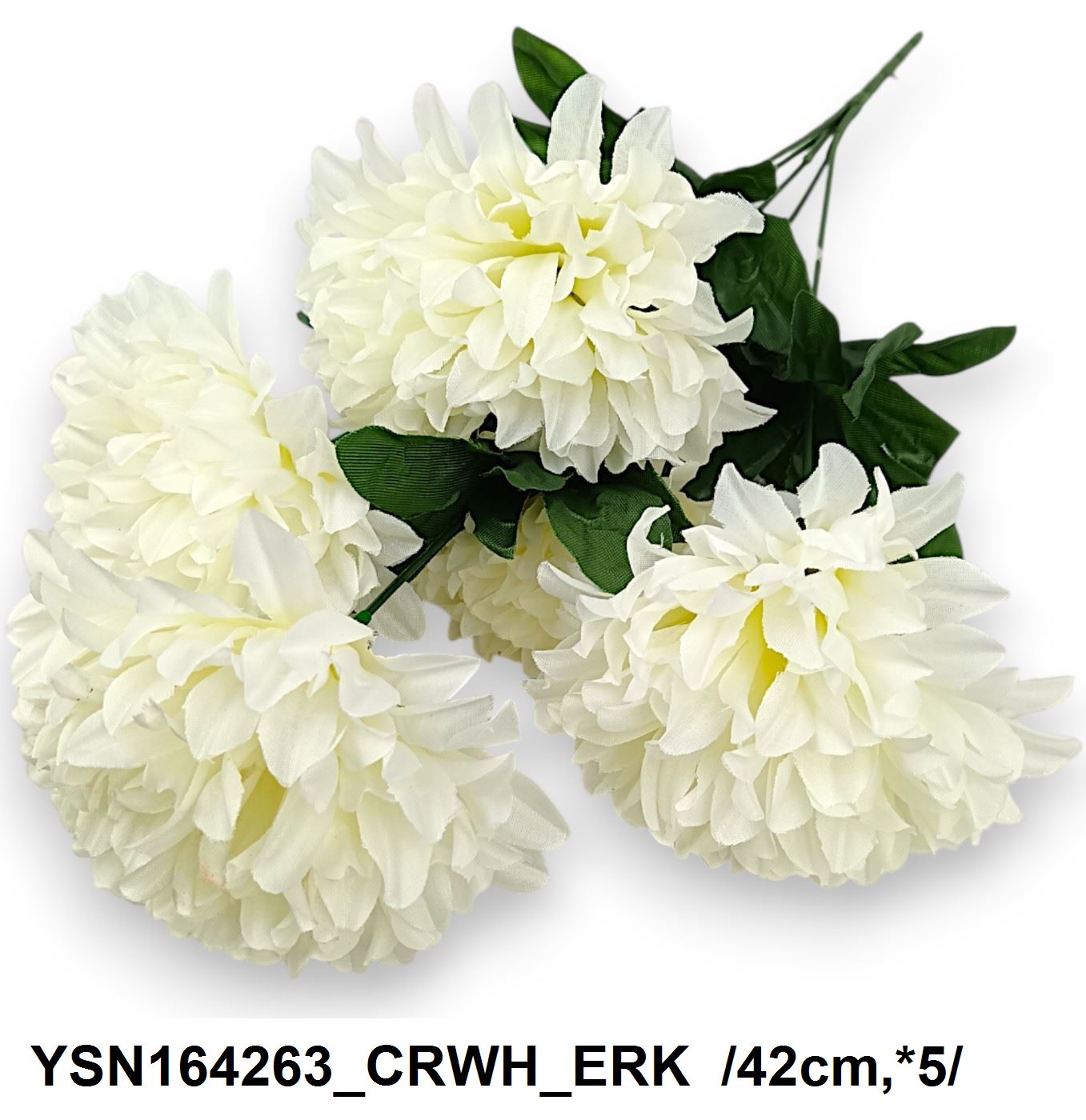 YSN164263_CRWH_ERK