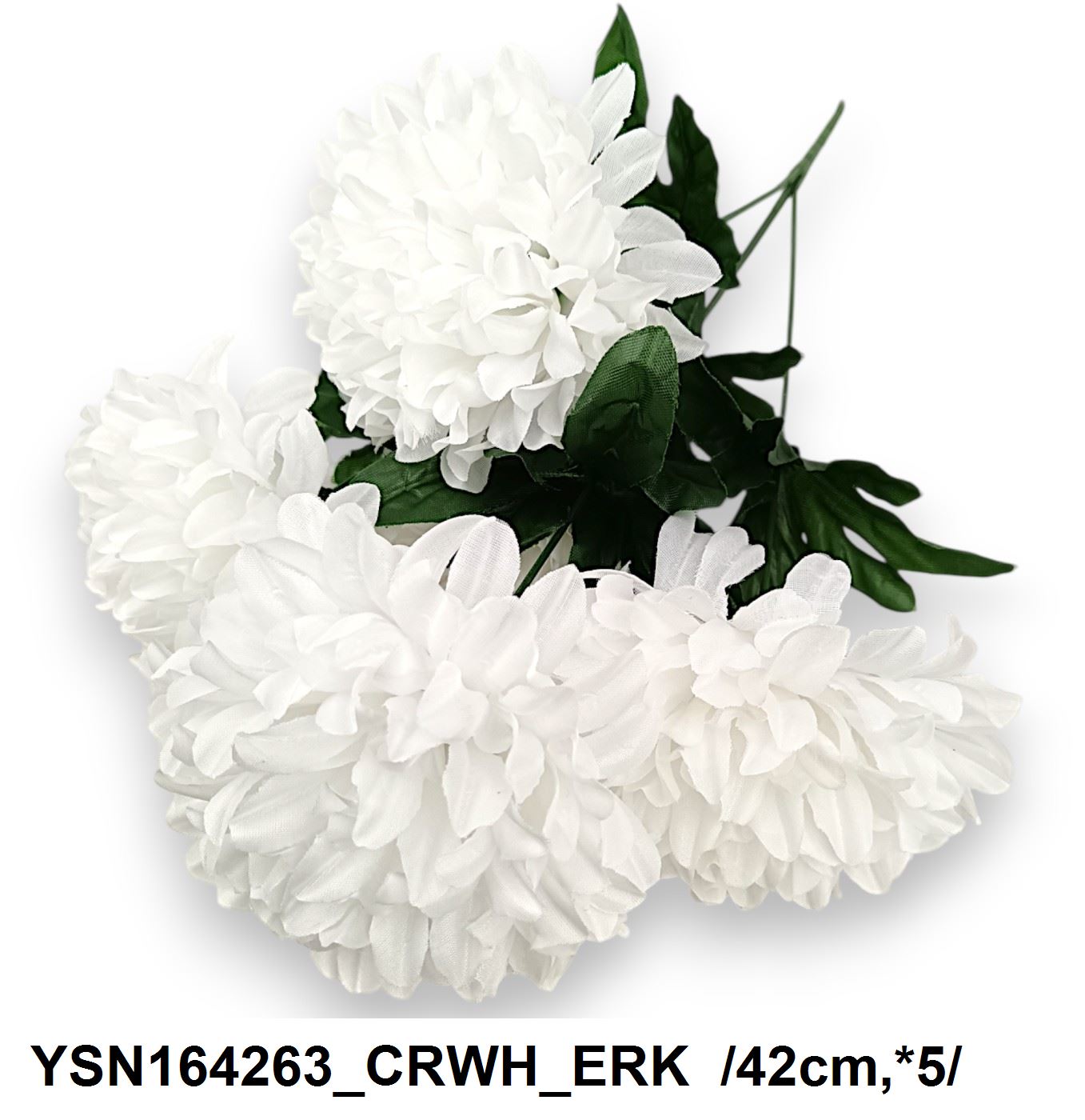 YSN164263_CRWH_ERK