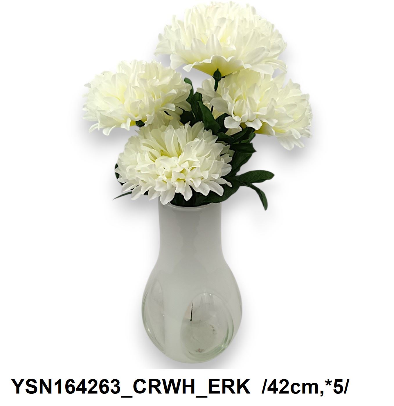 YSN164263_CRWH_ERK