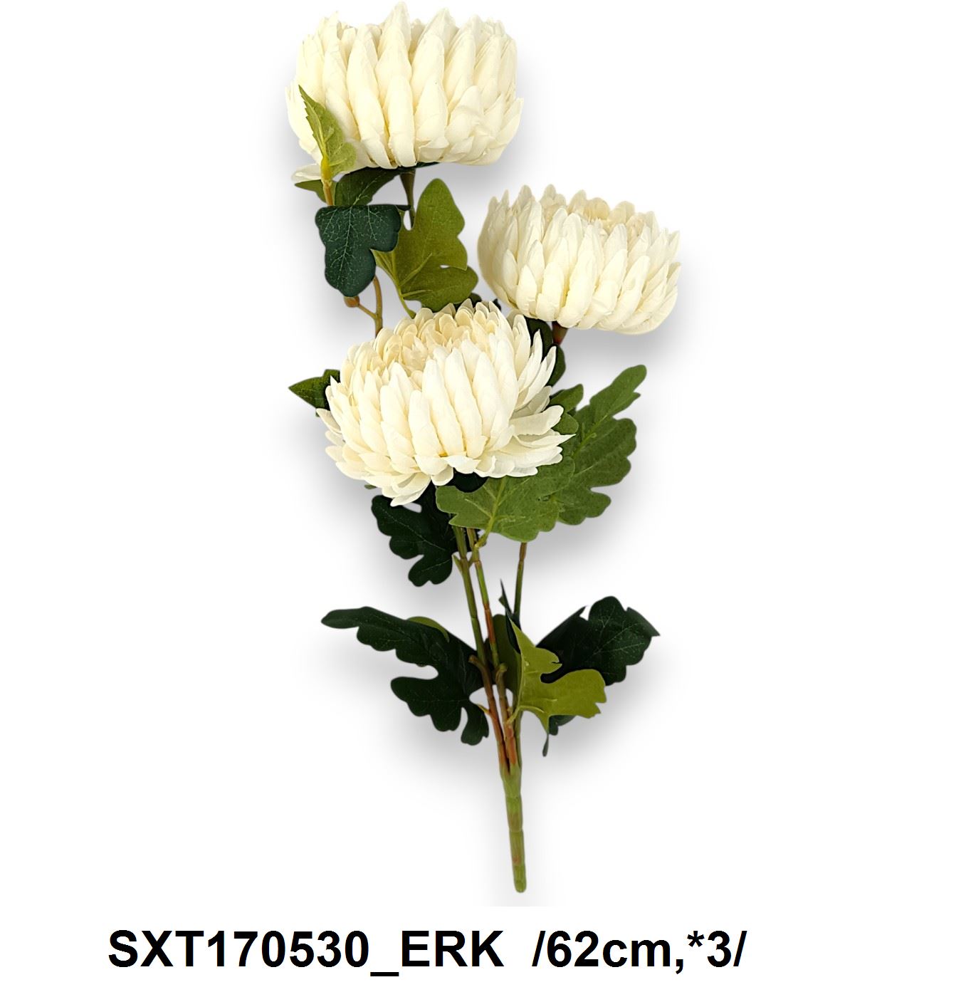 SXT170530_ERK