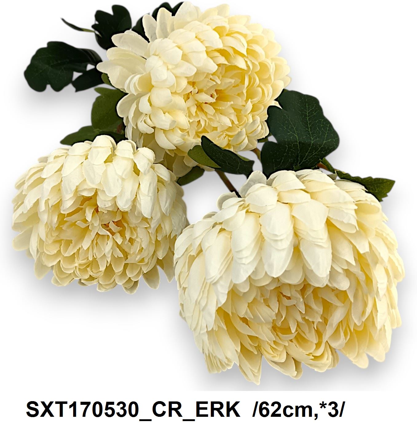 SXT170530_CR_ERK