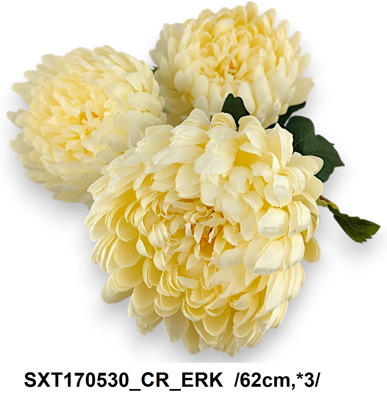 SXT170530_CR_ERK