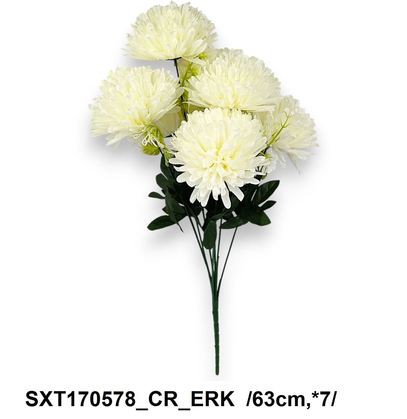 SXT170578_CR_ERK