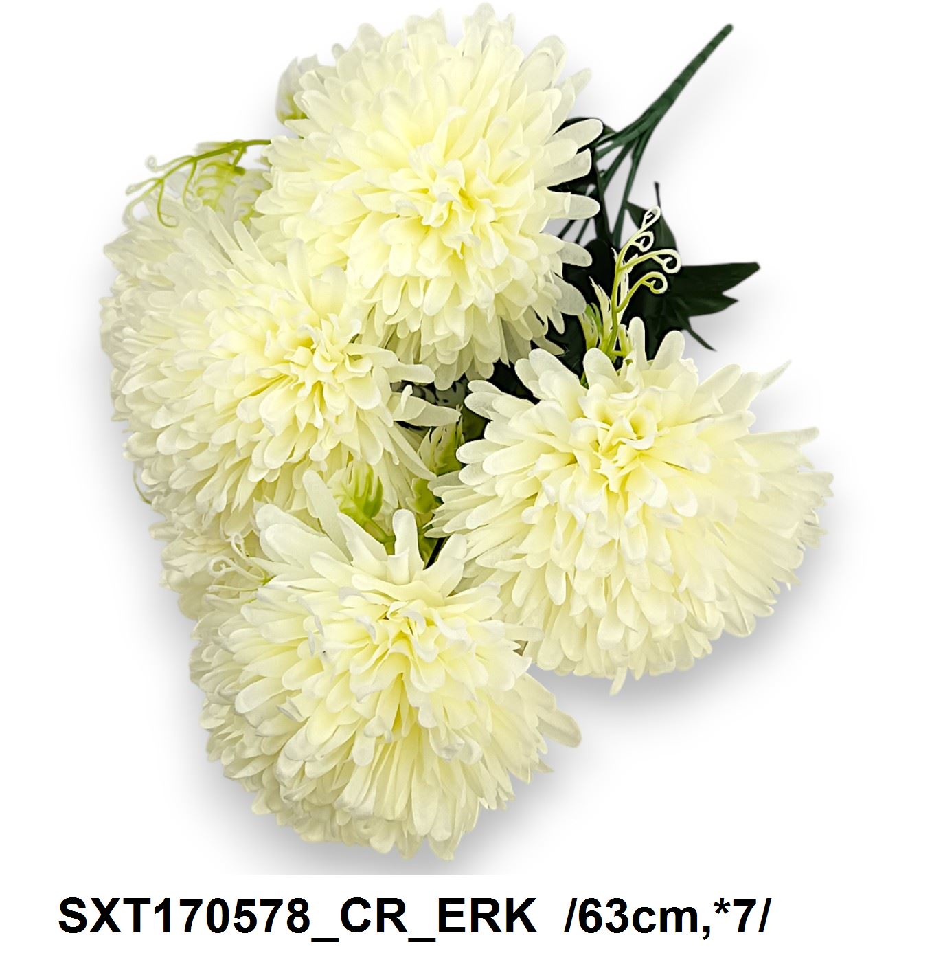SXT170578_CR_ERK