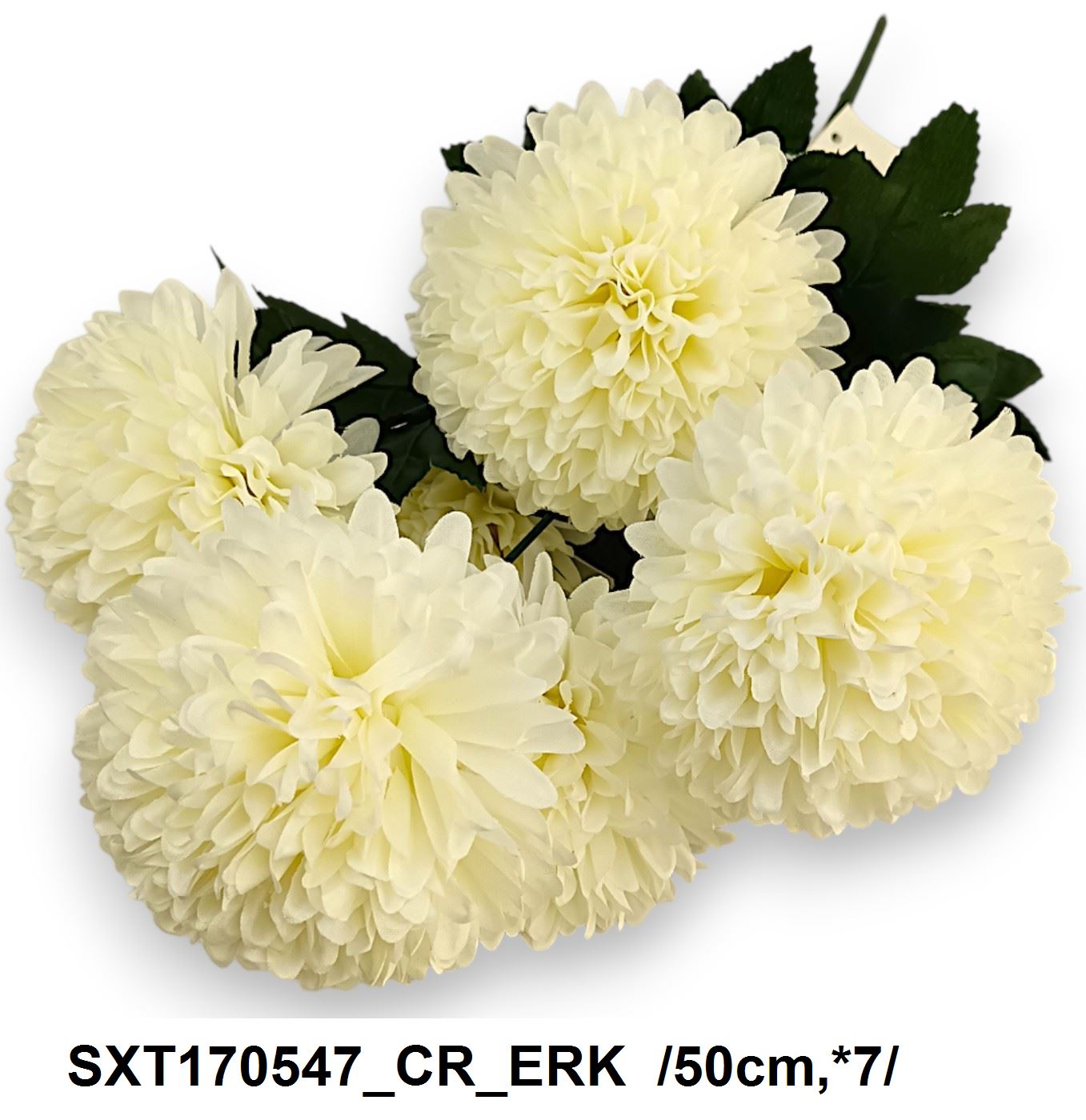 SXT170547_CR_ERK