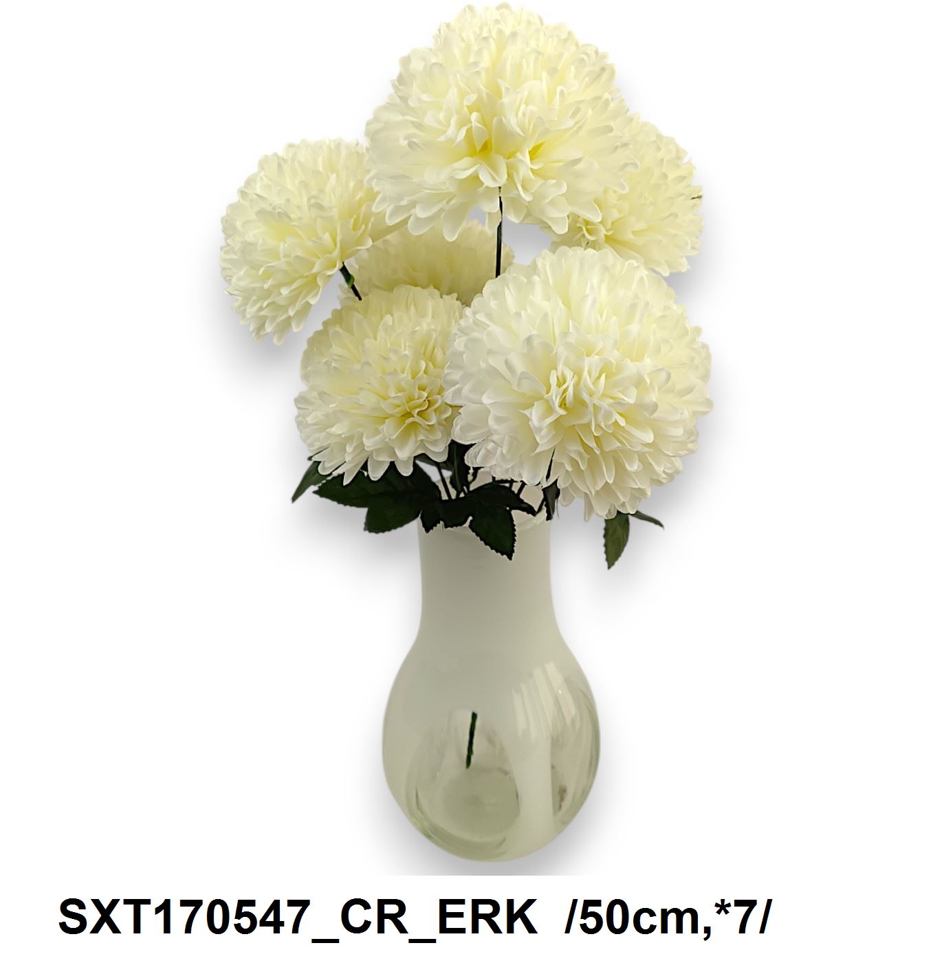 SXT170547_CR_ERK