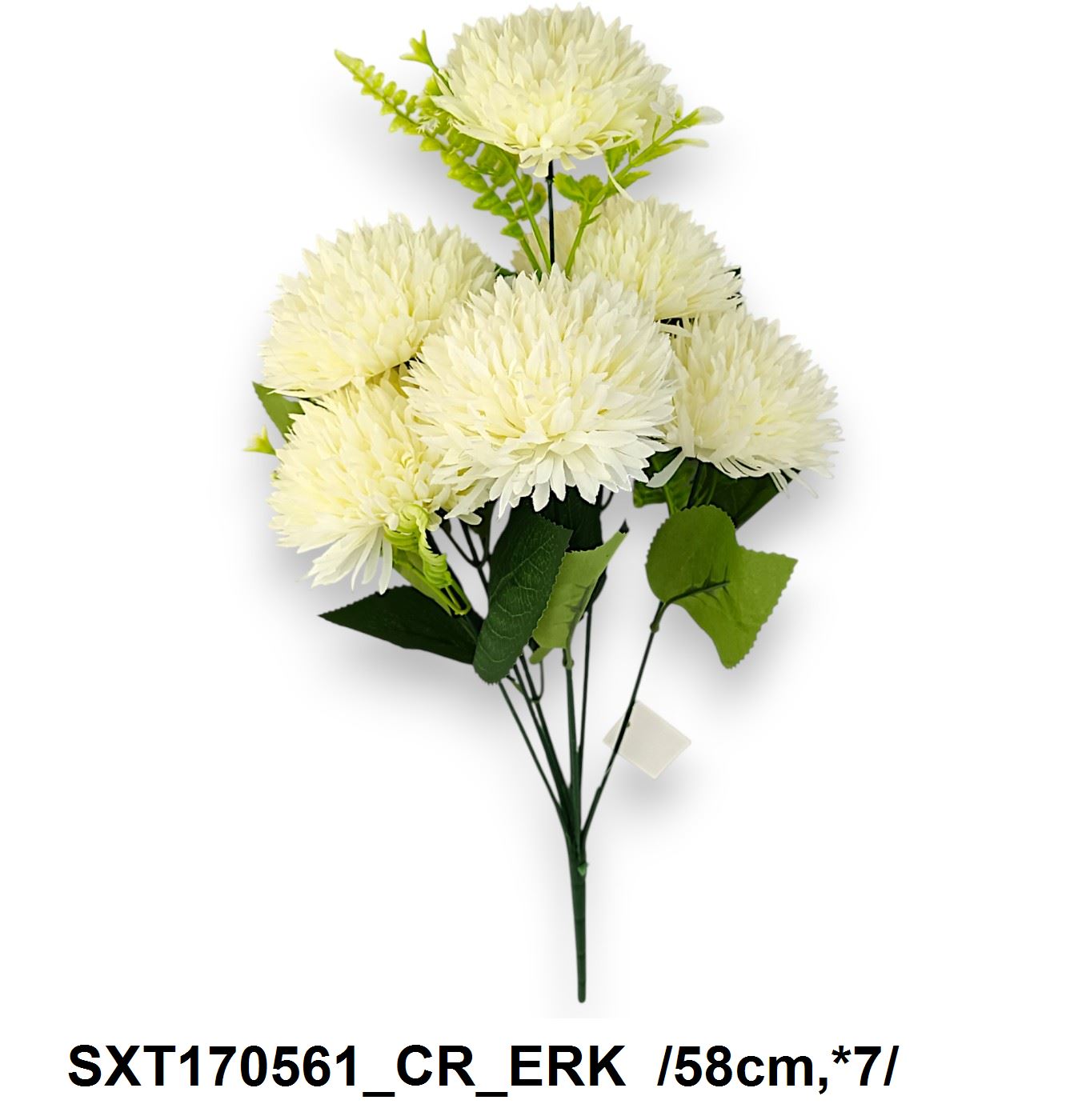 SXT170561_CR_ERK