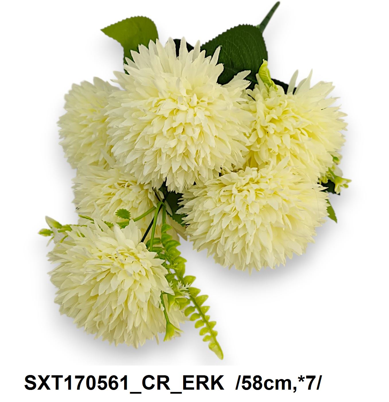 SXT170561_CR_ERK