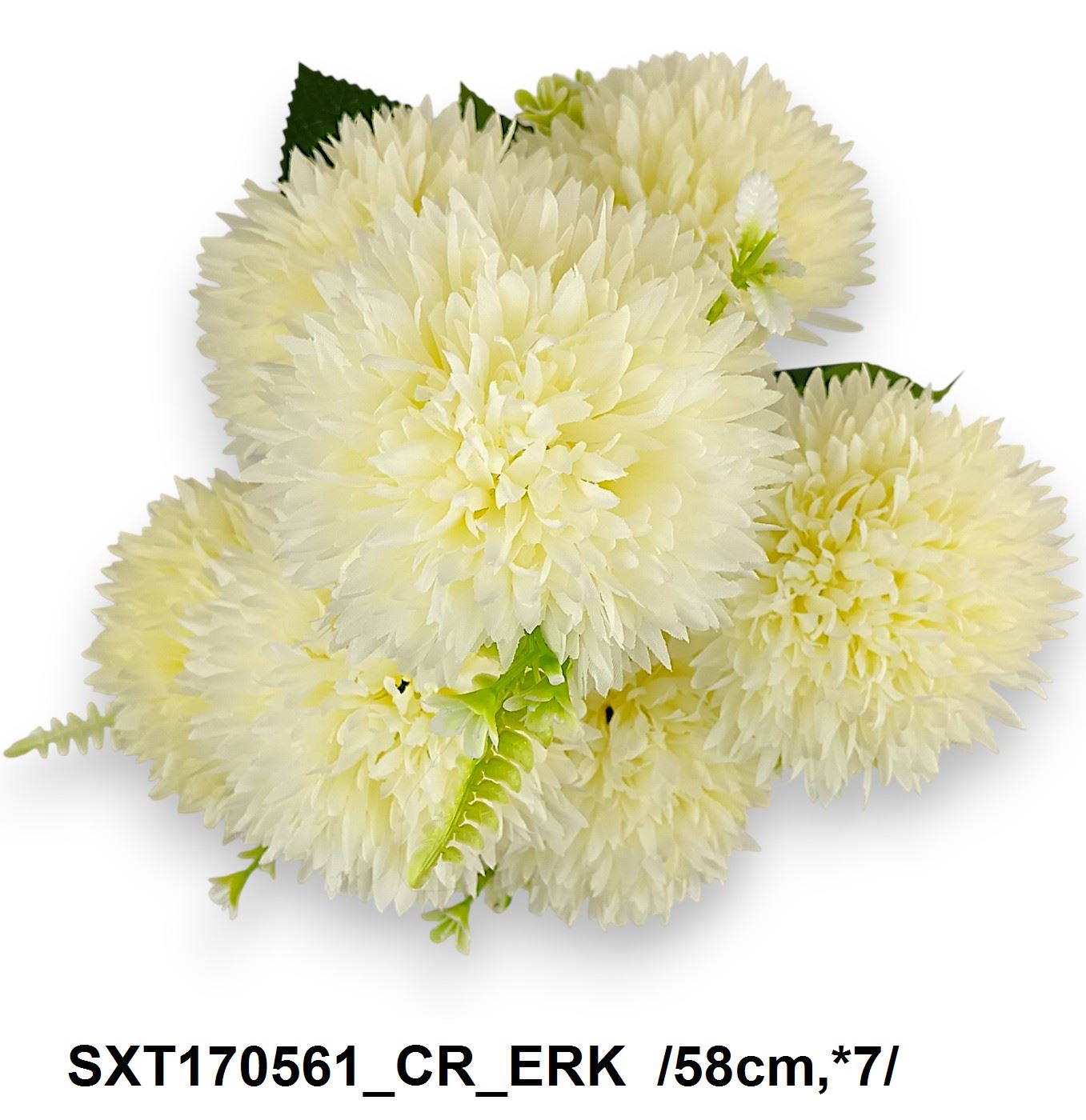 SXT170561_CR_ERK