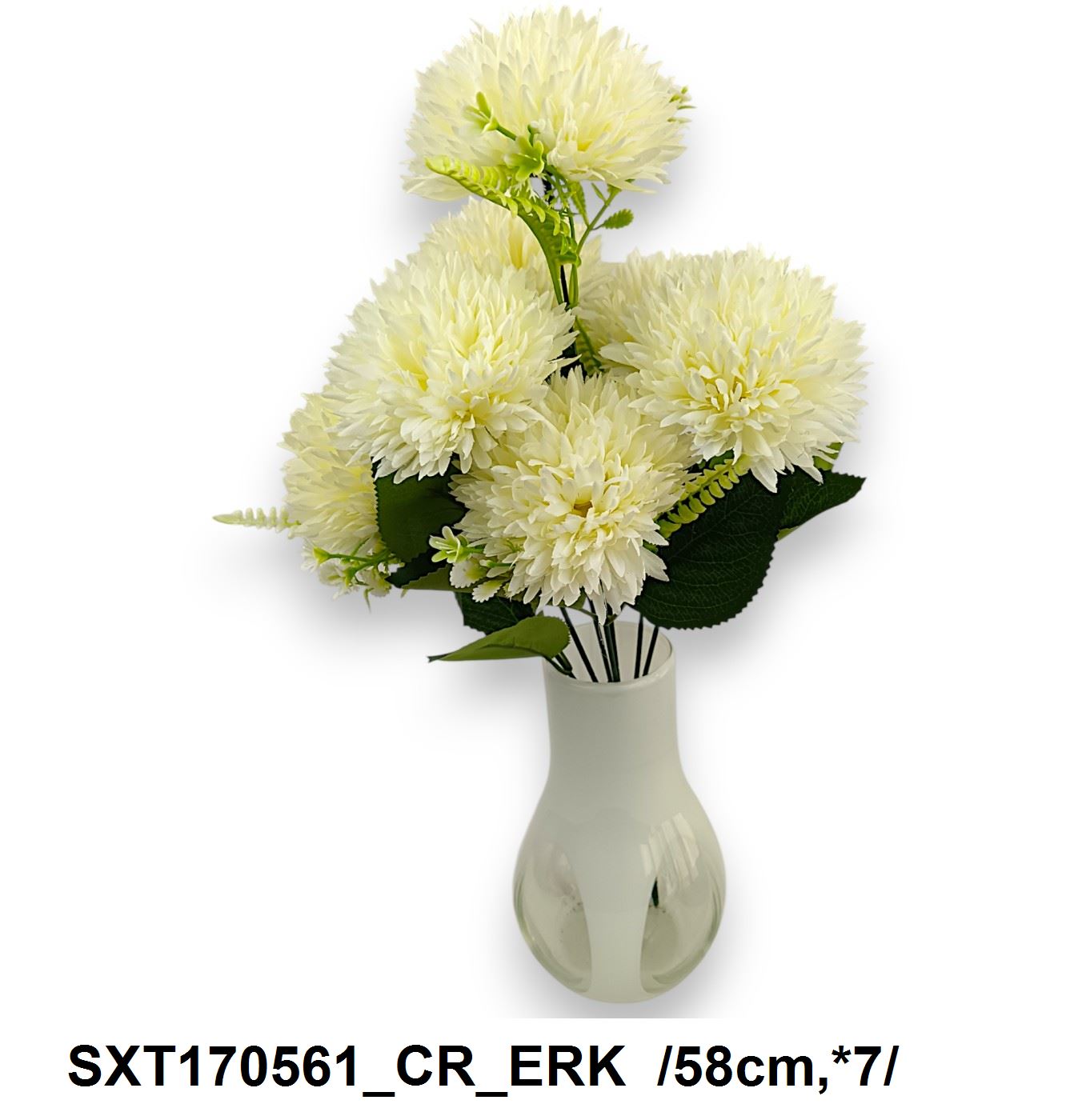 SXT170561_CR_ERK