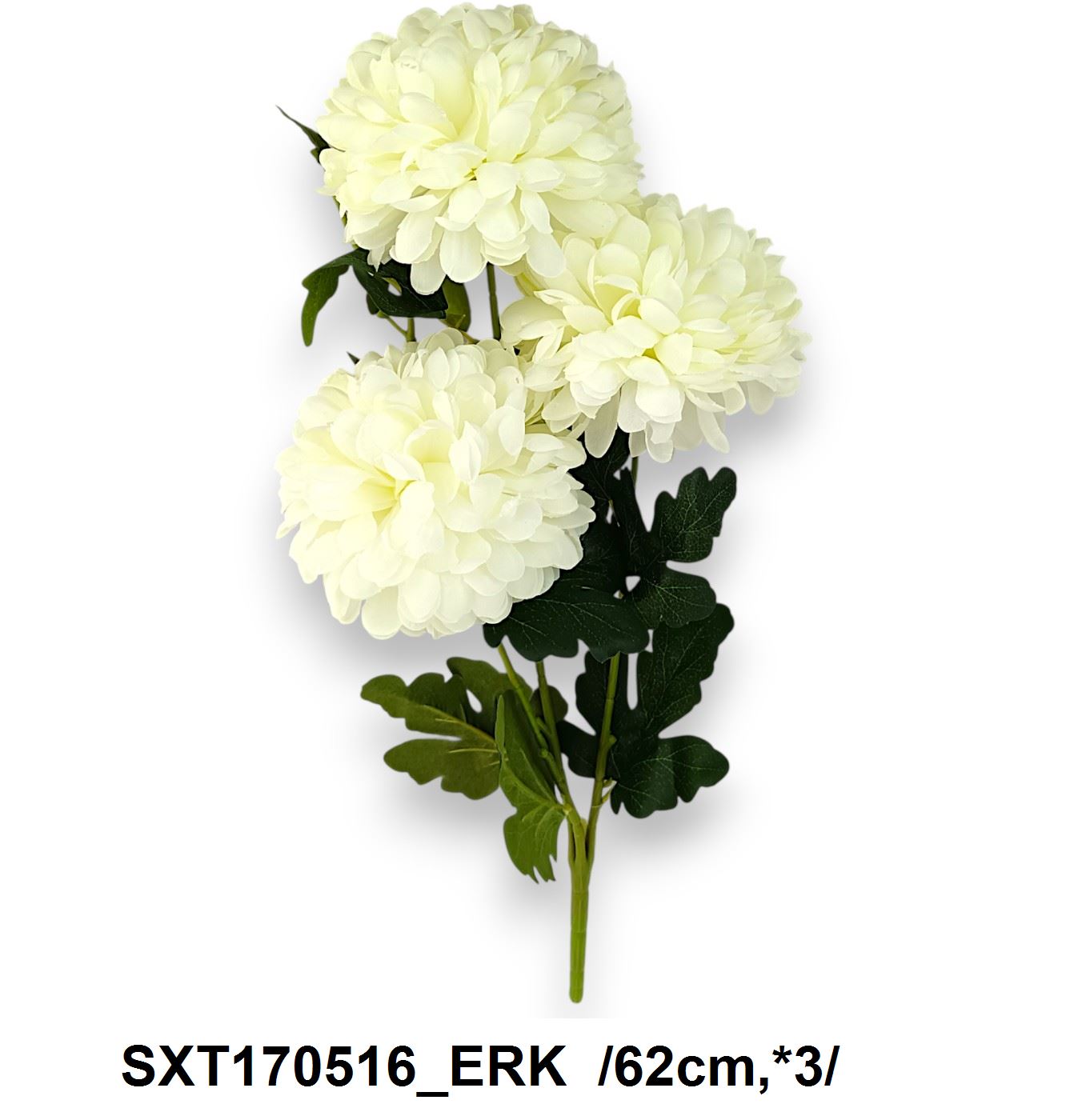 SXT170516_ERK