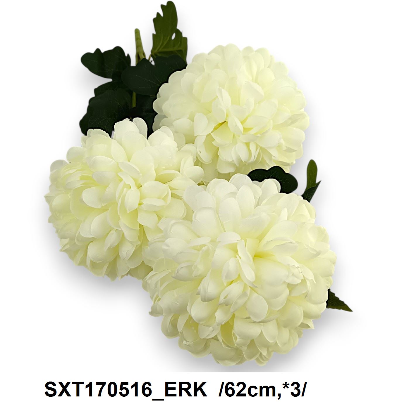 SXT170516_ERK