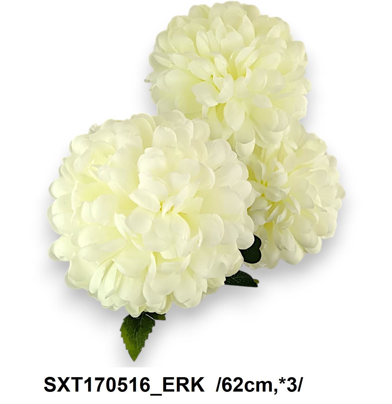 SXT170516_ERK