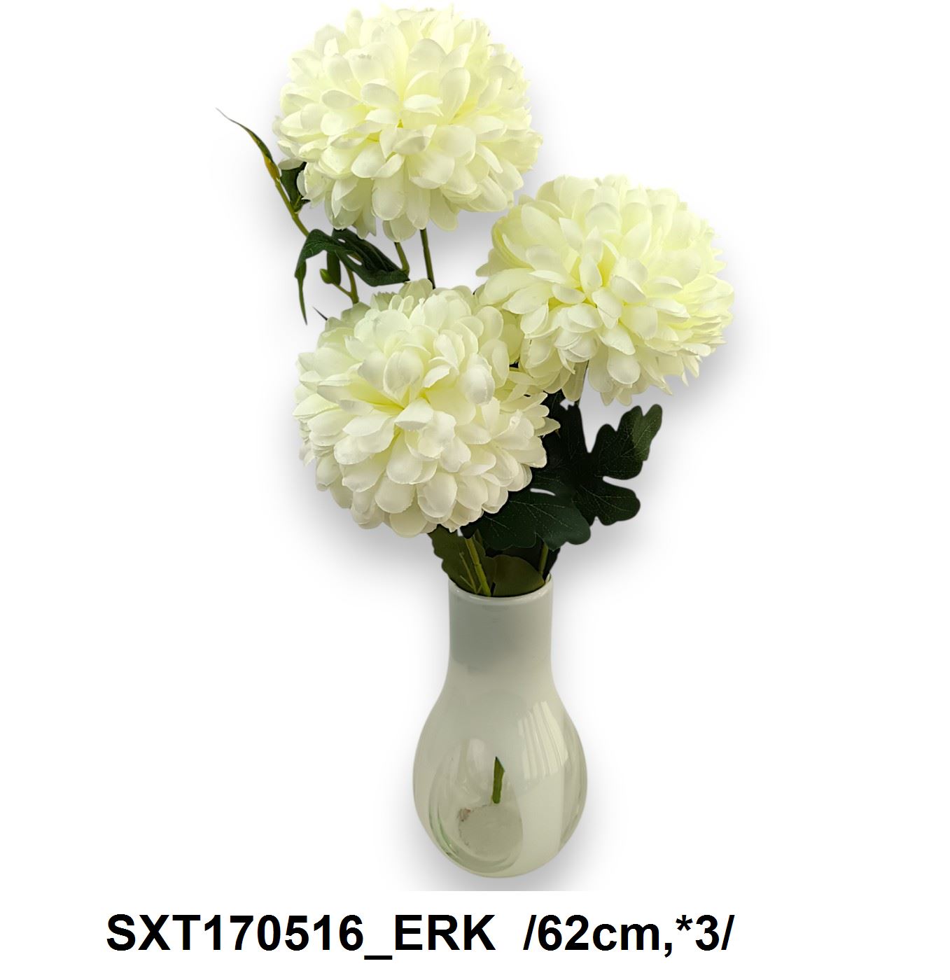 SXT170516_ERK