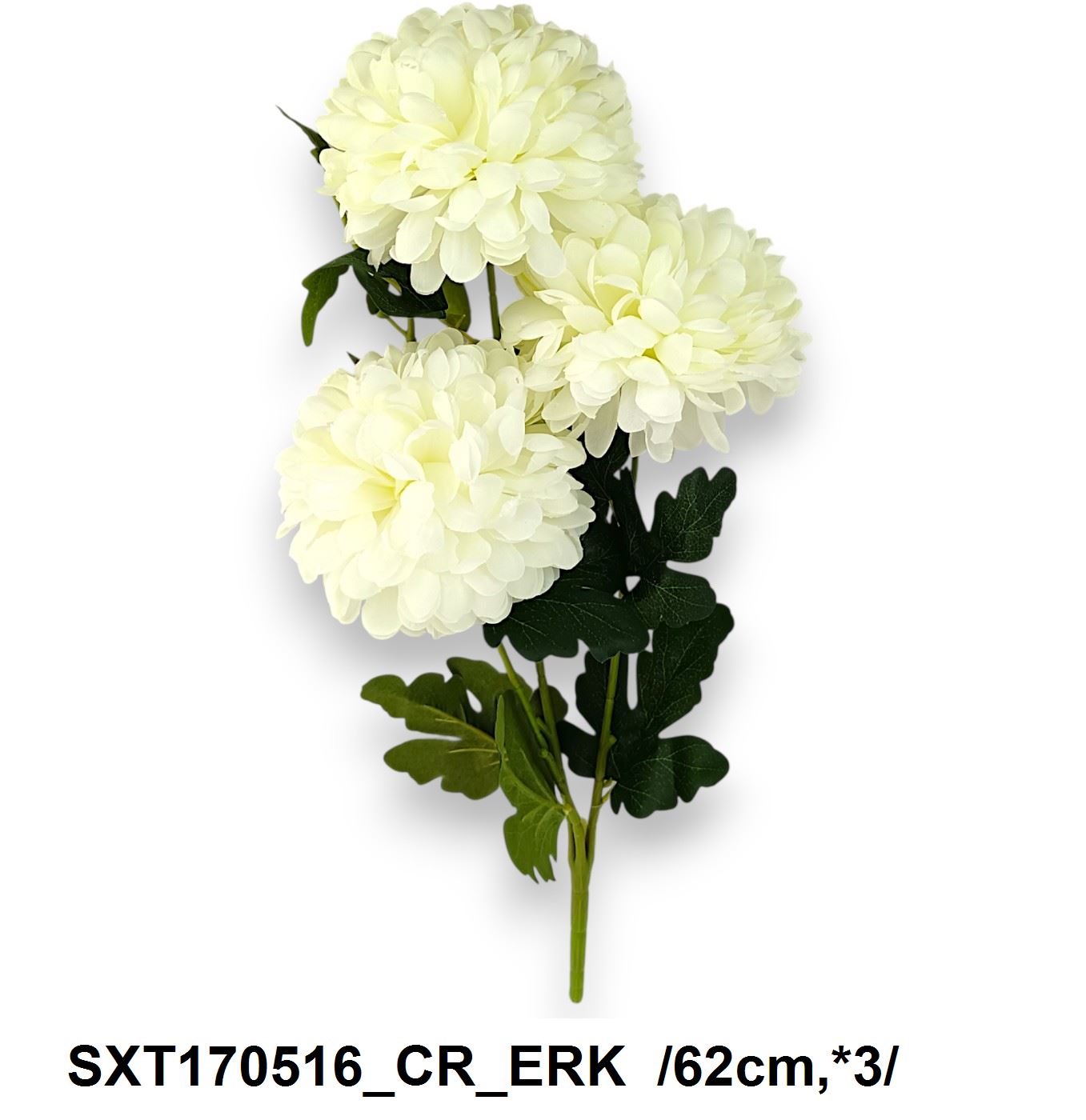 SXT170516_CR_ERK