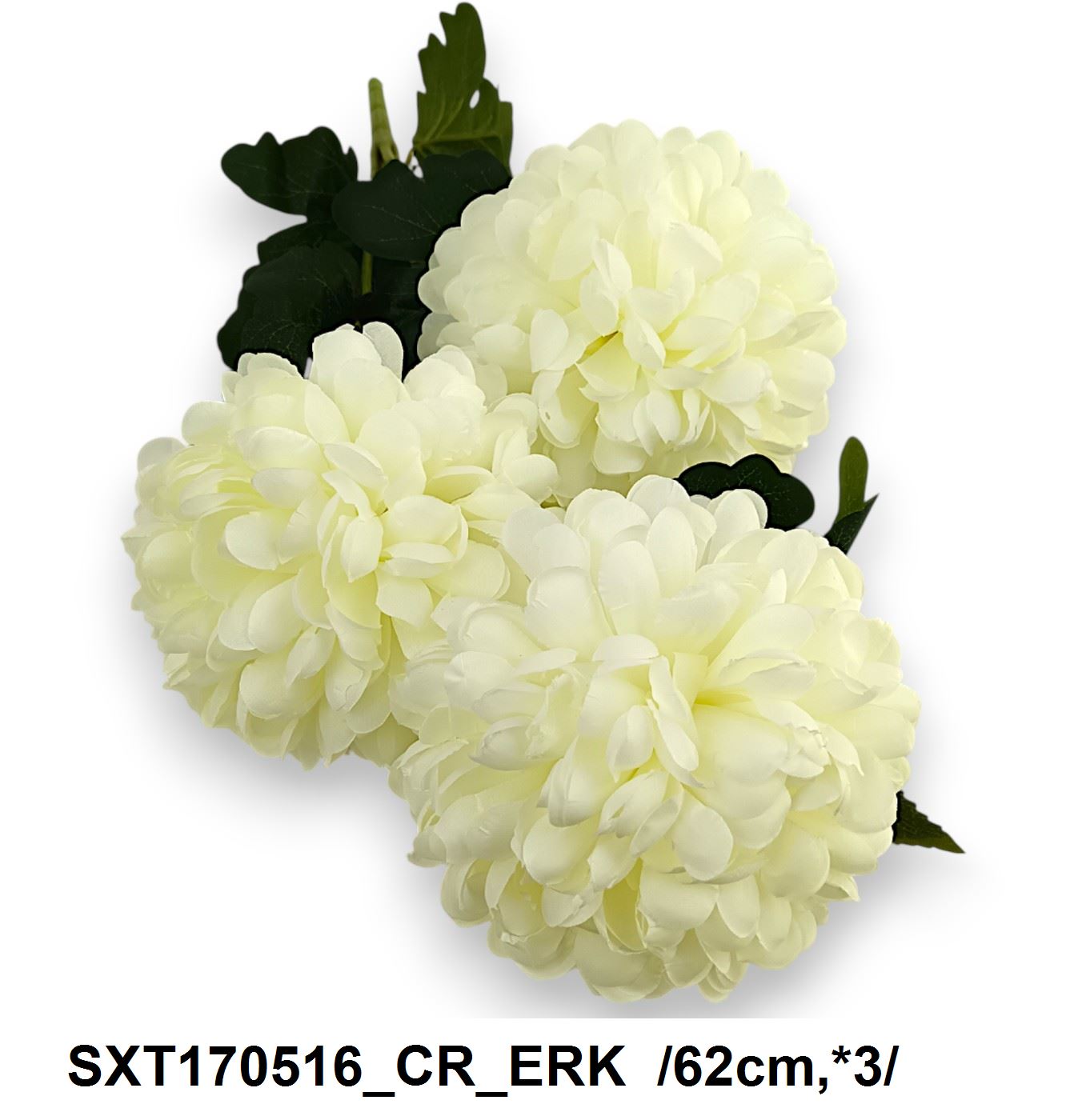 SXT170516_CR_ERK