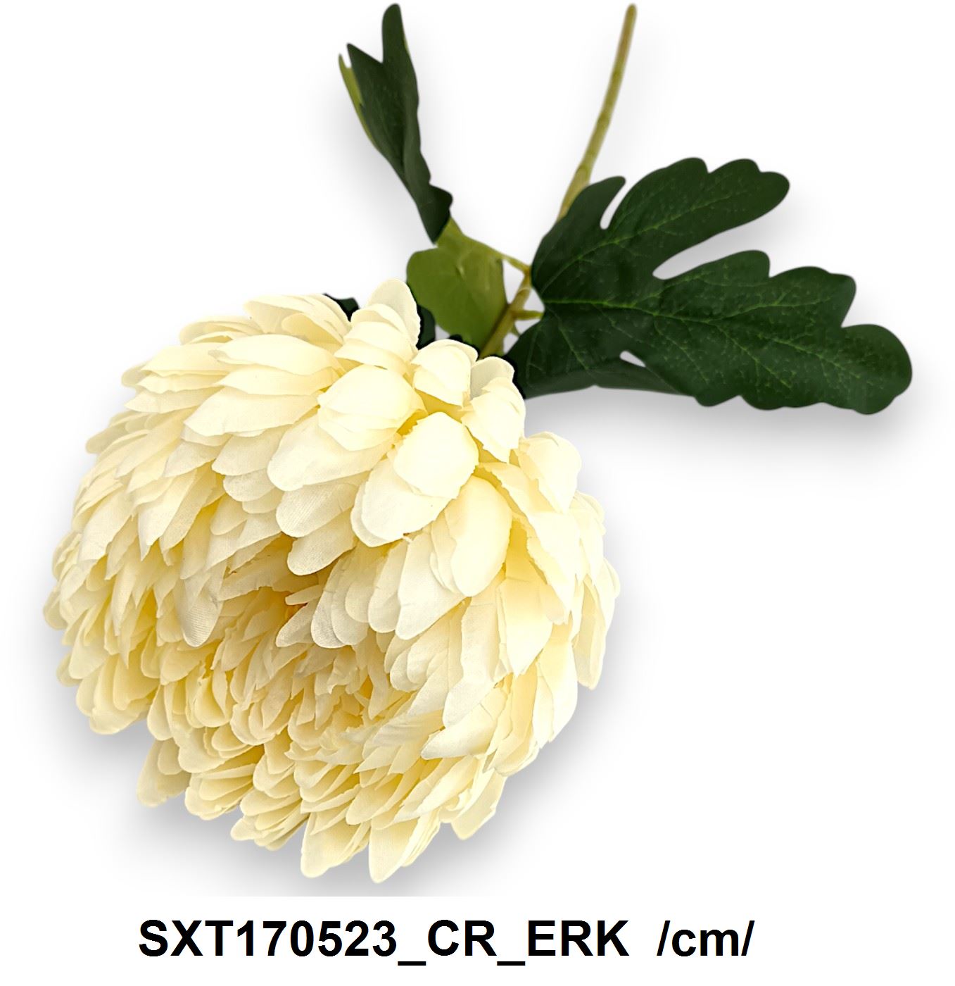 SXT170523_CR_ERK