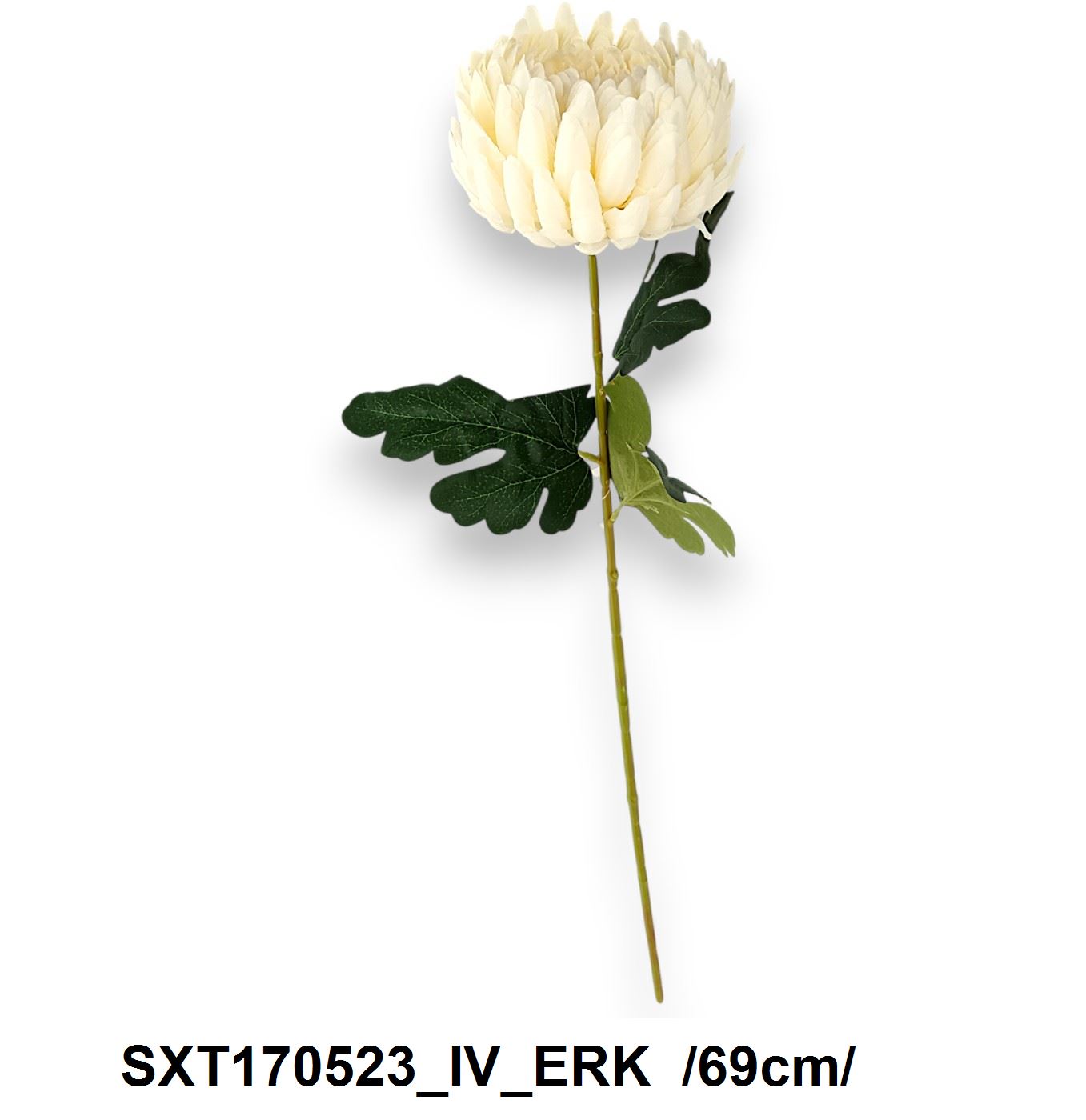 SXT170523_IV_ERK
